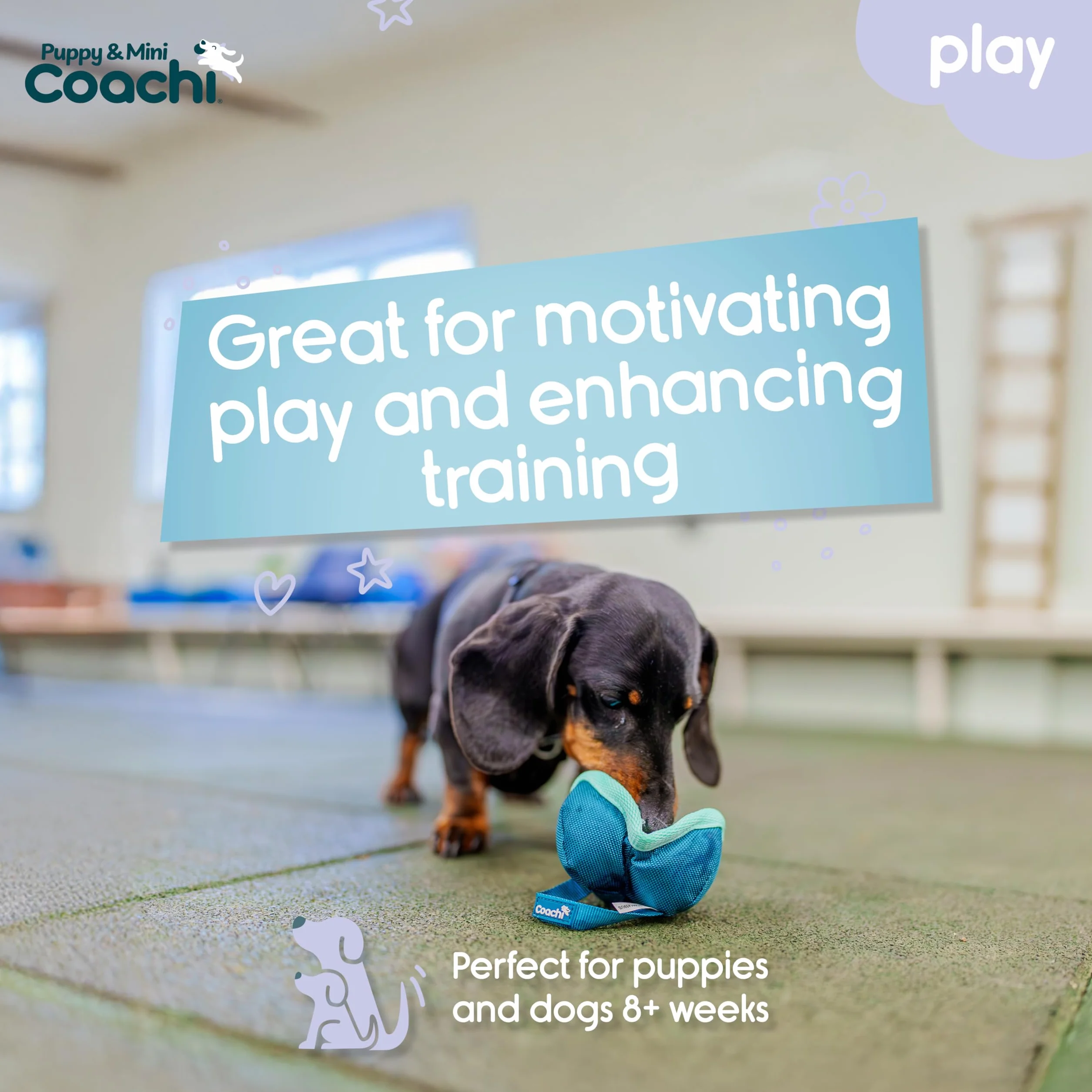 Coachi Puppy & Mini Chase & Treat – Idealny dla zabawy i pościgów, agility i treningu na odległość, zachęca do interakcji, dobre do motywowania, Odpowiednie dla szczeniąt i małych psów