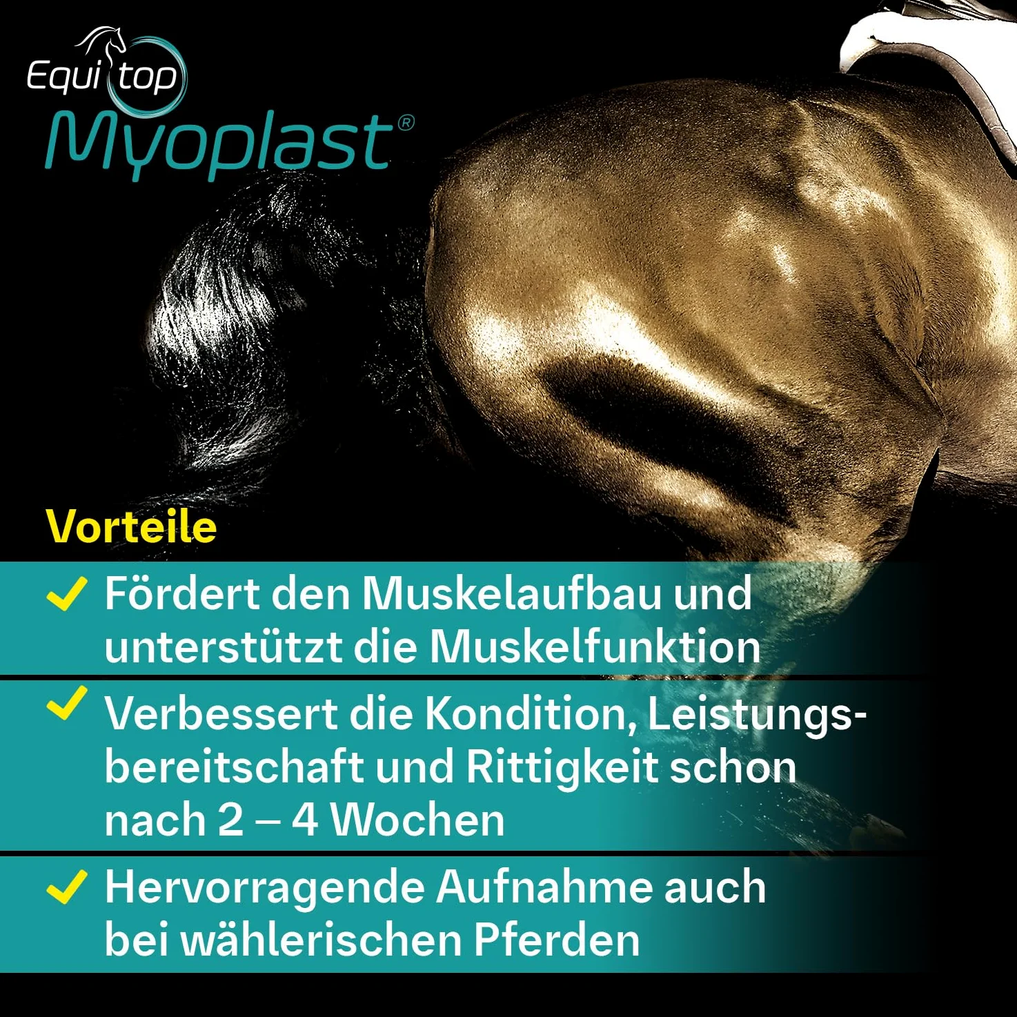 EQUITOP Myoplast granulat do budowy mięśni dla koni, 1,5 kg