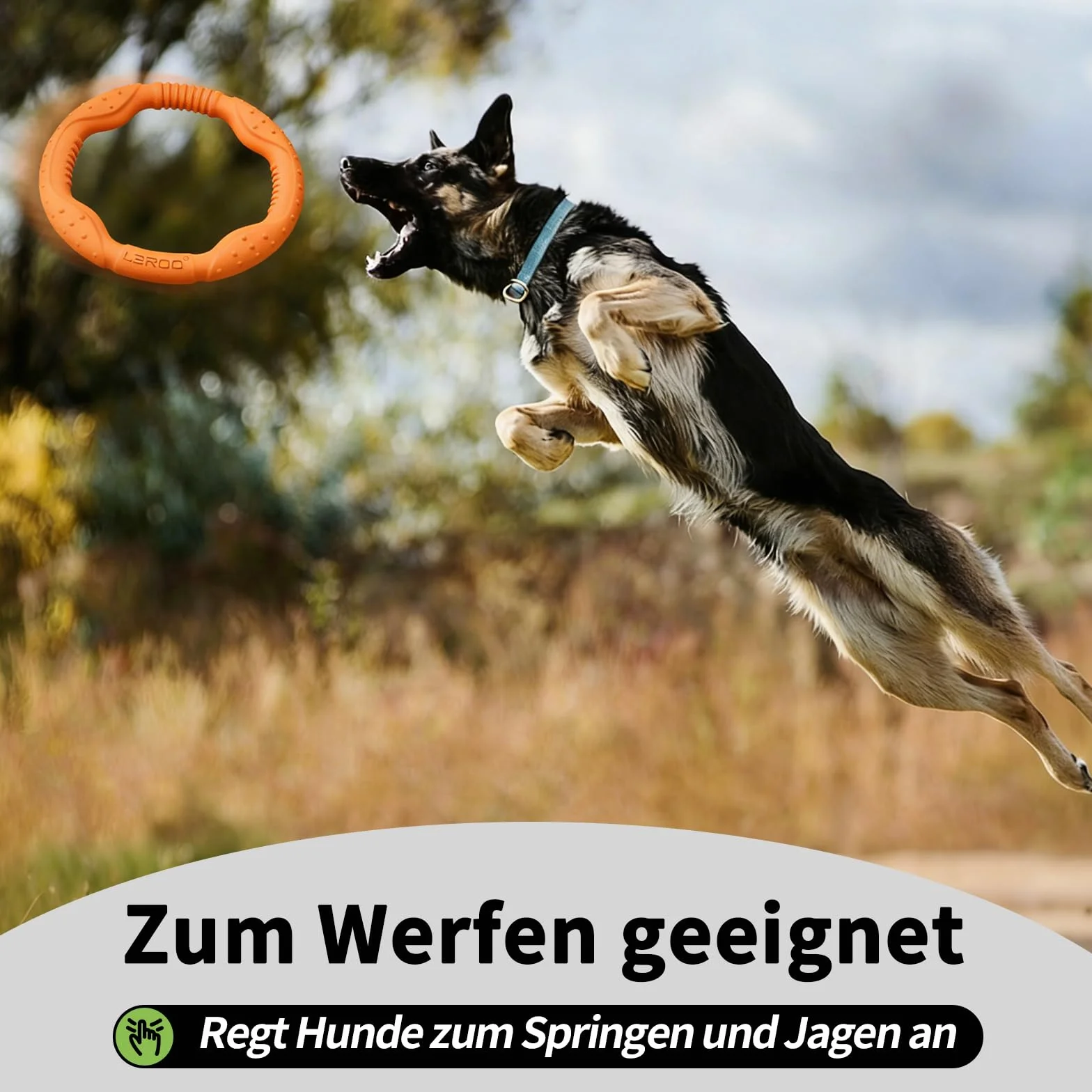LaRoo Frisbee pierścień fitness dla psa, niezniszczalny pływak dla psów, zabawka, letni trening zwierząt domowych, dla średnich i małych psów