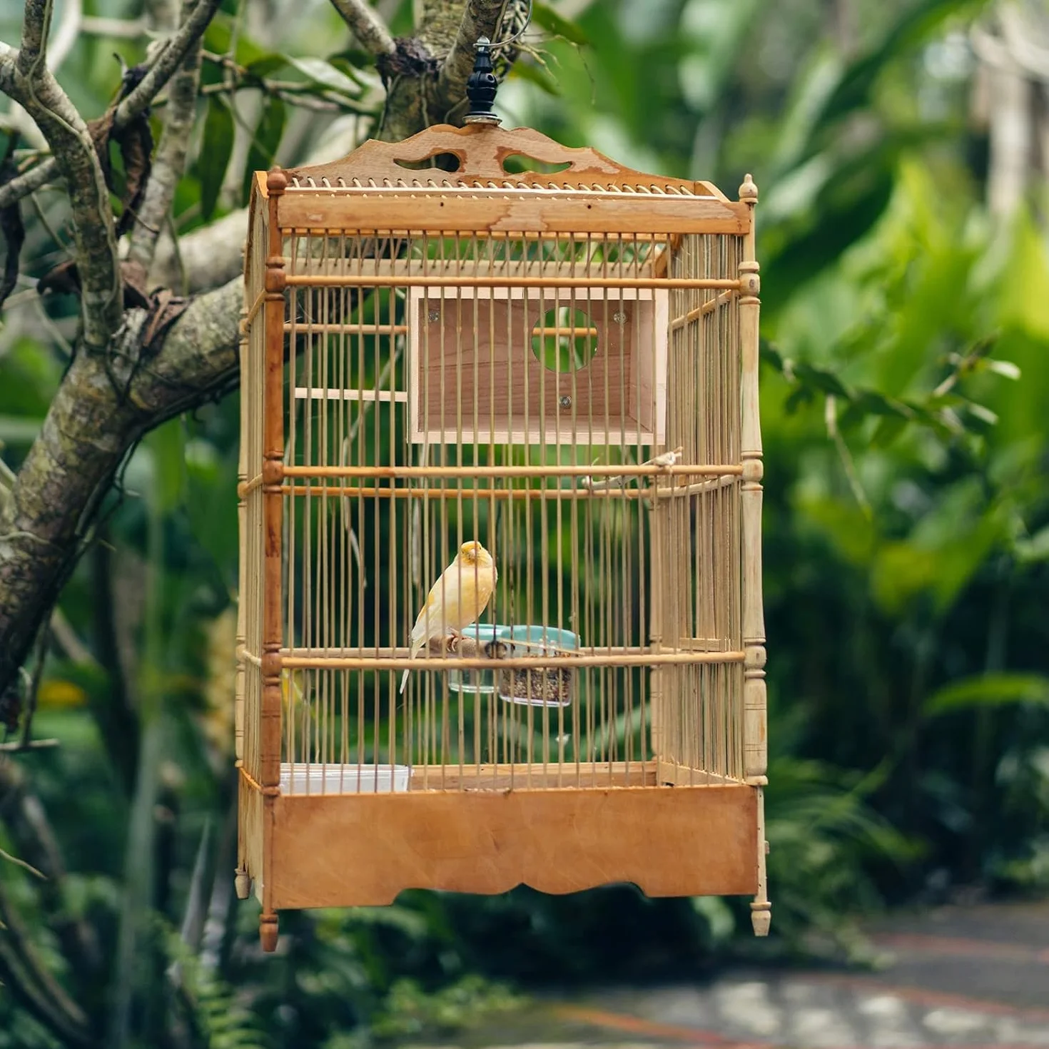 LATRAT Budka lęgowa dla papug Przezroczysty design, domek dla ptaków z naturalnego drewna Małe gniazdo ptasie, drewniana klatka dla papug, gniazdo lęgowe dla papug gatunku Lovebirds i Ellensittich