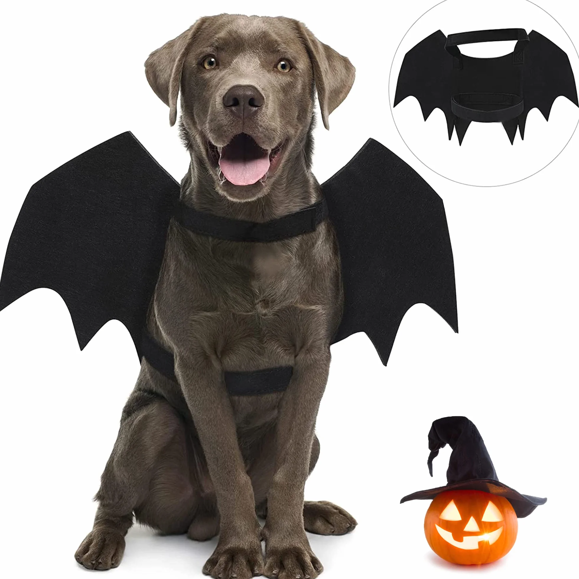 skrzydła psa, kostium nietoperza na Halloween, kostium dla zwierząt domowych, czarne skrzydła nietoperzy, kostium na Halloween, akcesoria dla psów, przebranie na imprezę śmieszne, fajna