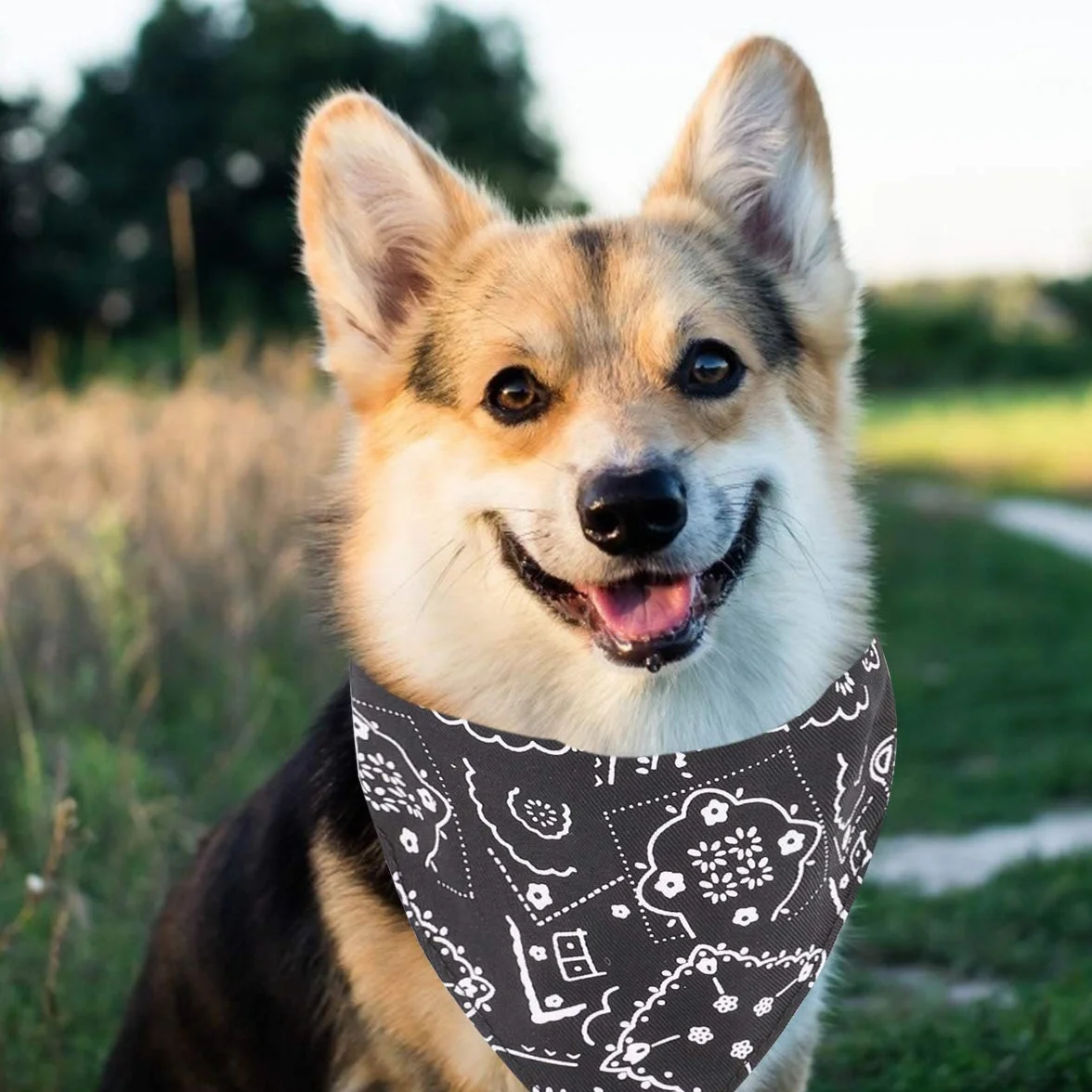 Bandana dla psów, chusty na głowę, chusta dla zwierząt domowych, regulowana, dla szczeniaków, małych psów, kotów (L, czarna)