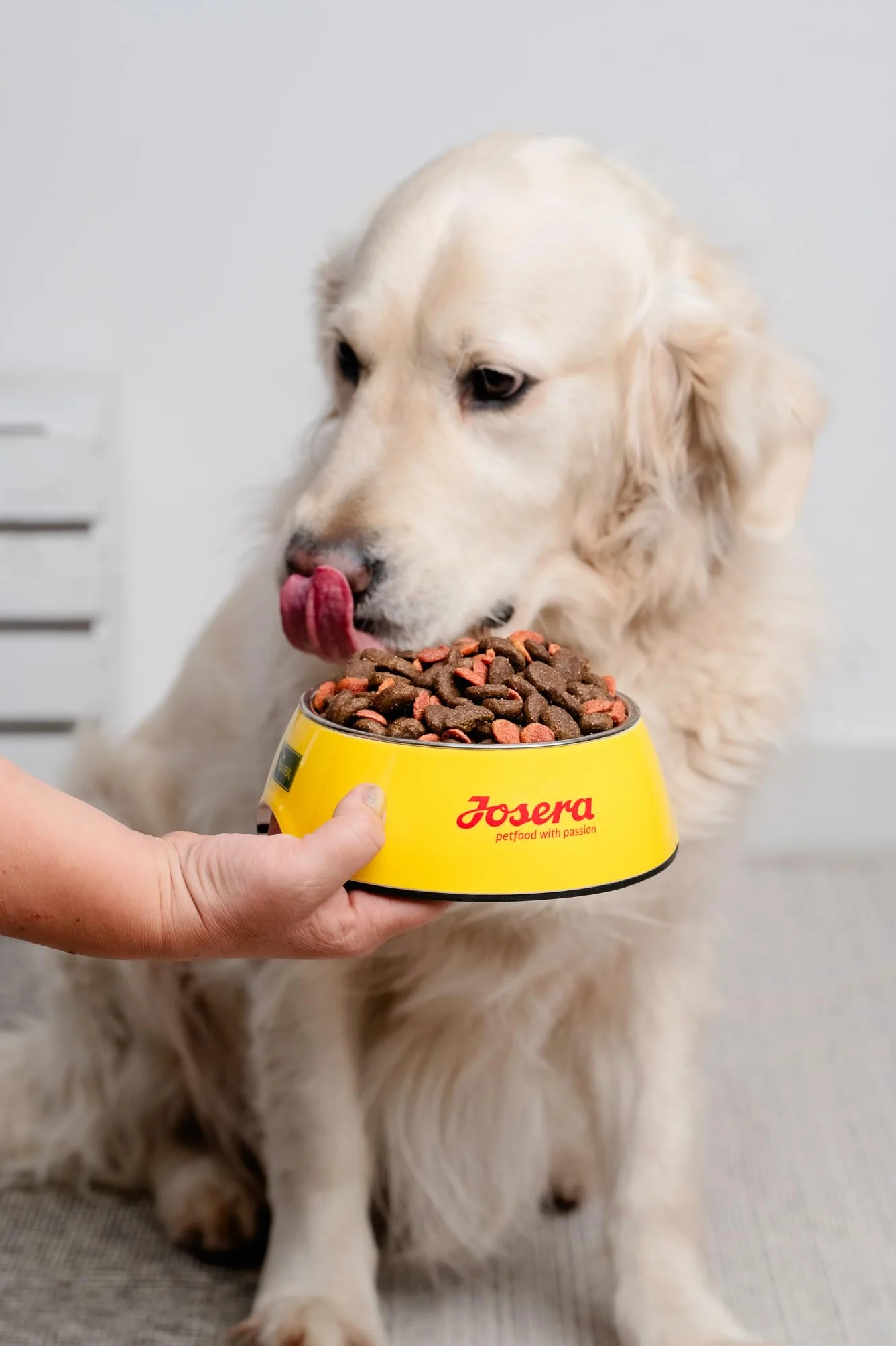 Josidog Junior Sensitive Karma dla Psa, Kurczak, 15 kg