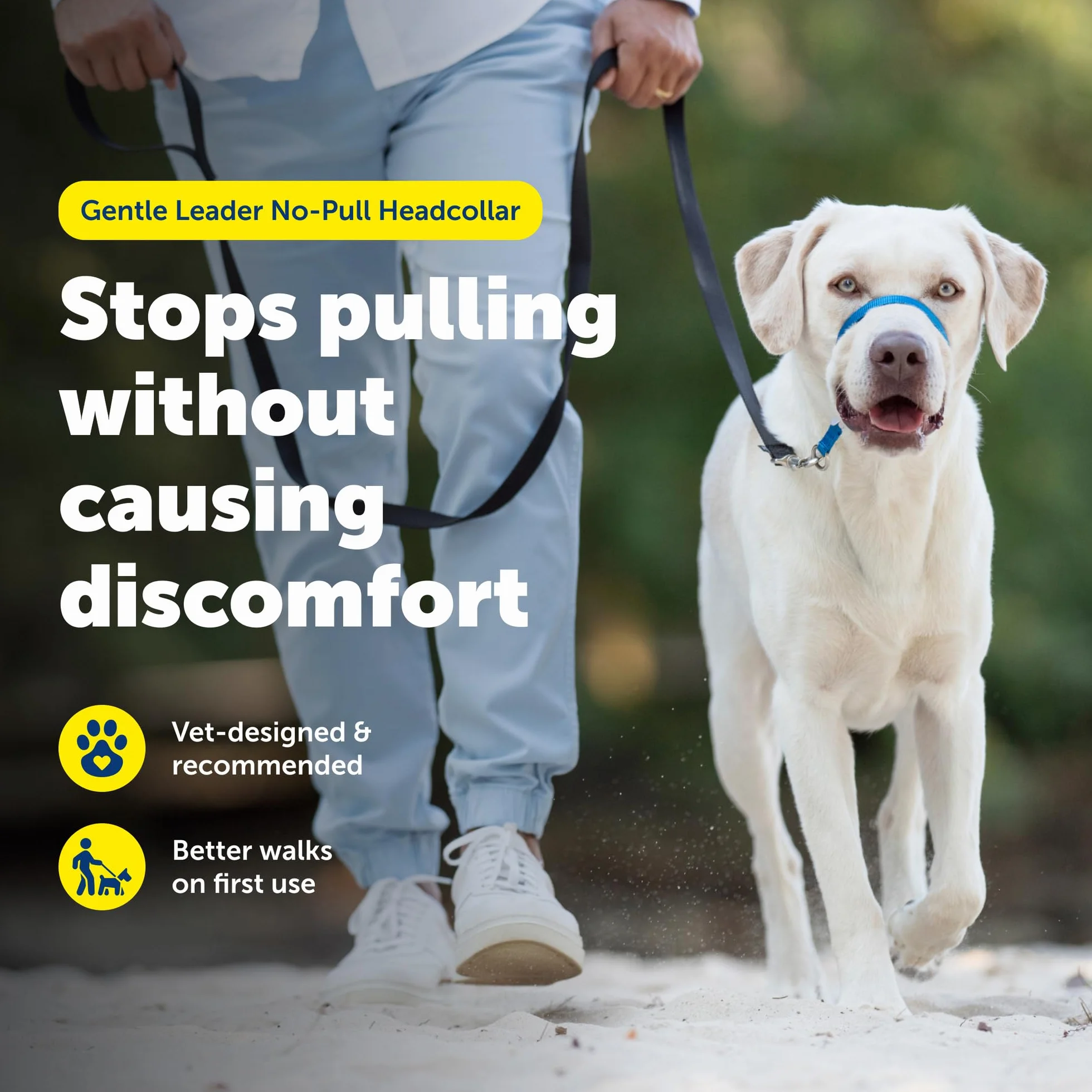 PetSafe Gentle Leader Obroża dla psa bez ciągnięcia – najlepsze rozwiązanie dla psów ciągnących – przekierowuje siłę psa, ułatwiając spacer – pomaga odzyskać kontrolę – L, niebieska (Royal Blue)
