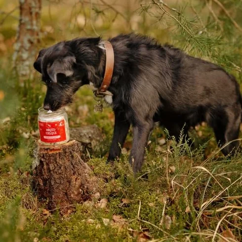 Liofilizowane mięso cielęce 70g dla psa i kota |wsparcie przy anemii zdrowa sierść ZDROWY PRZYSMAK