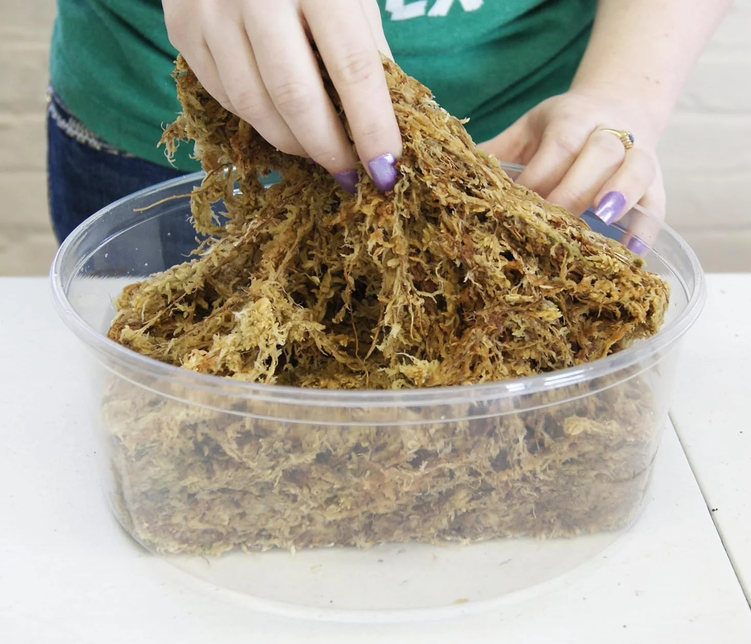 Besgrow Spagmoss Premium New Zealand Sphagnum Moss 150g 12L