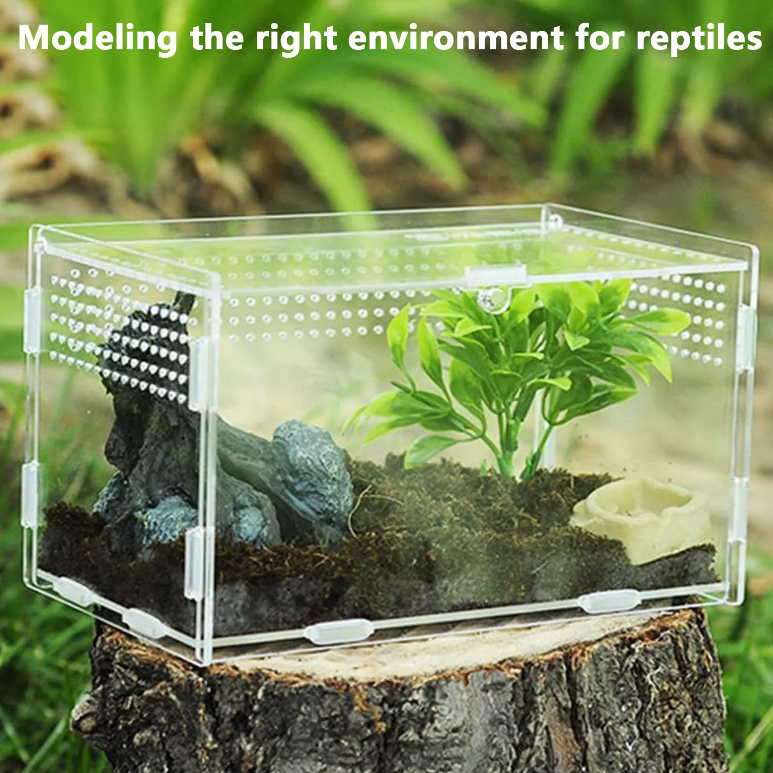 Przezroczyste akrylowe terrarium dla gadów i owadów – obudowa dla pająków, jaszczurek, żab, chrząszczy i innych owadów