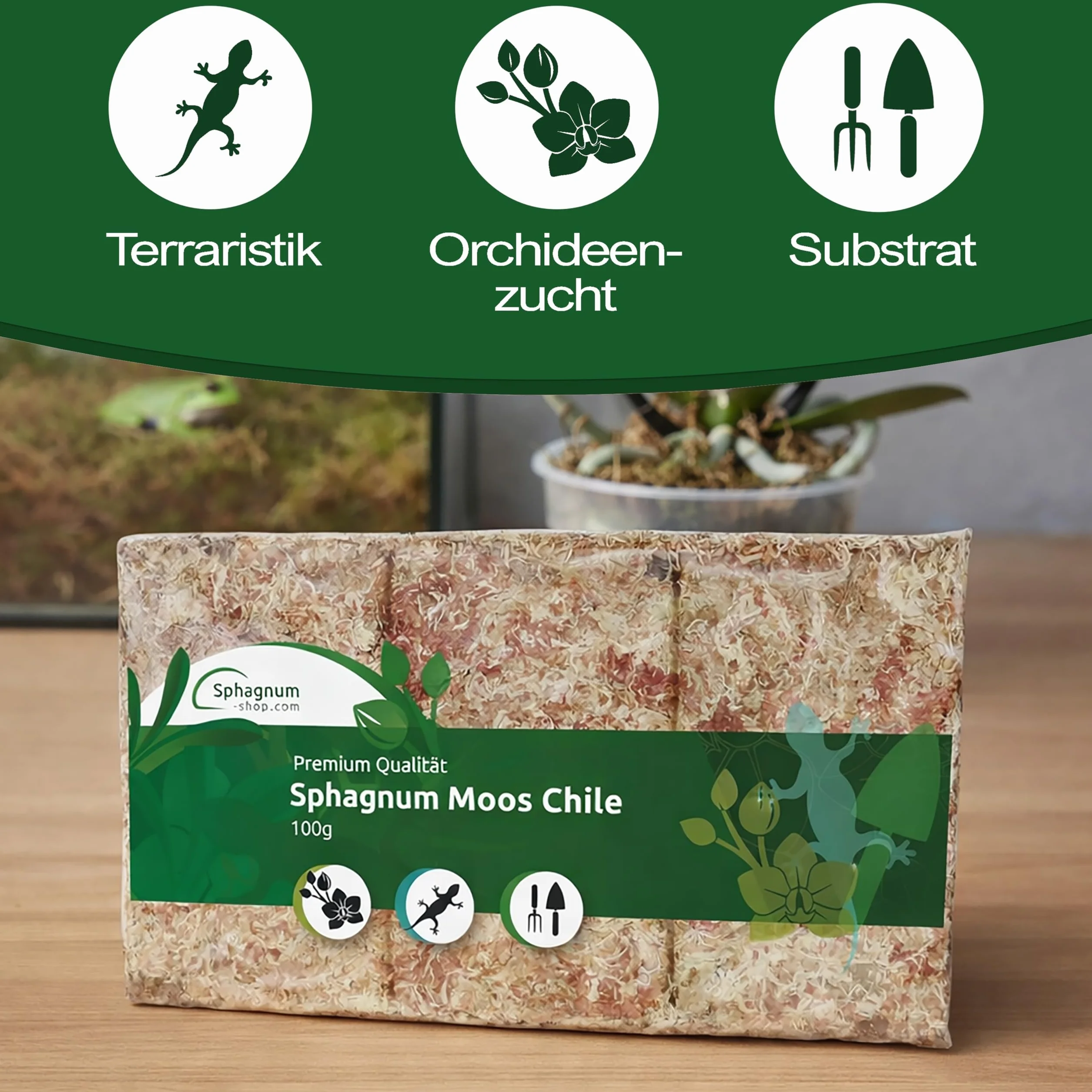 Torfowiec mchu do terrarium i storczyków z Chile 100/200/400 g do storczyków i terrarystyki - idealne podłoże i pałeczki mchu (200 g)