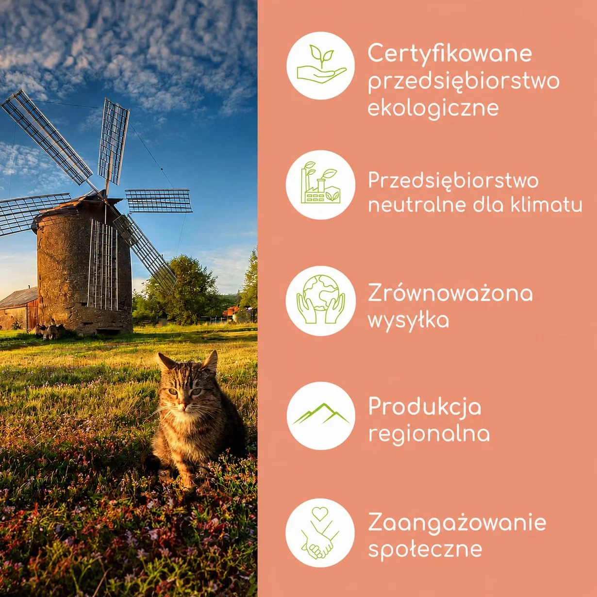 Olej z łososia dla kotów z Omega 3 i 6 | 100 ml naturalnego oleju z łososia norweskiego z Atlantyku | Wysokiej jakości suplement dla kotów