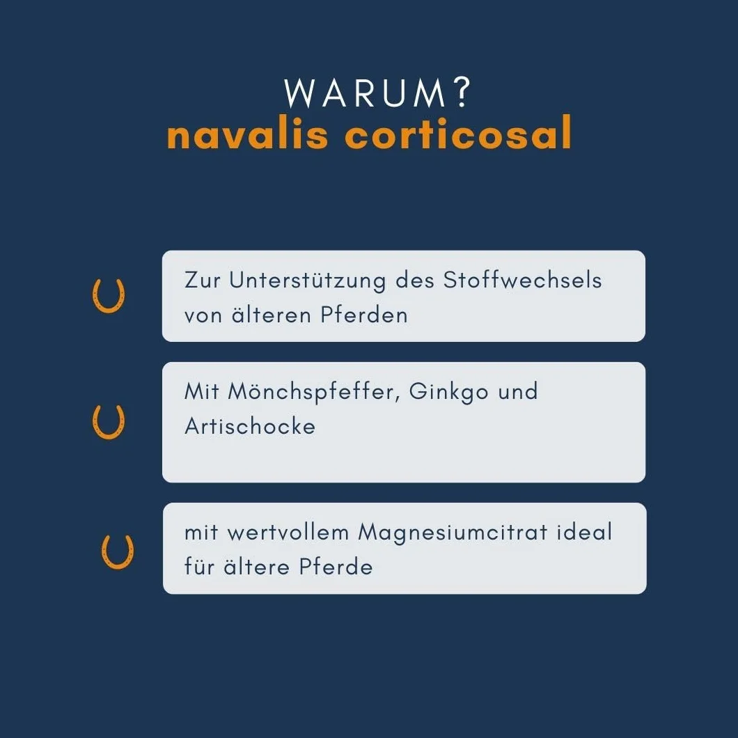 Corticosal Horse Refill worek 2000 g
