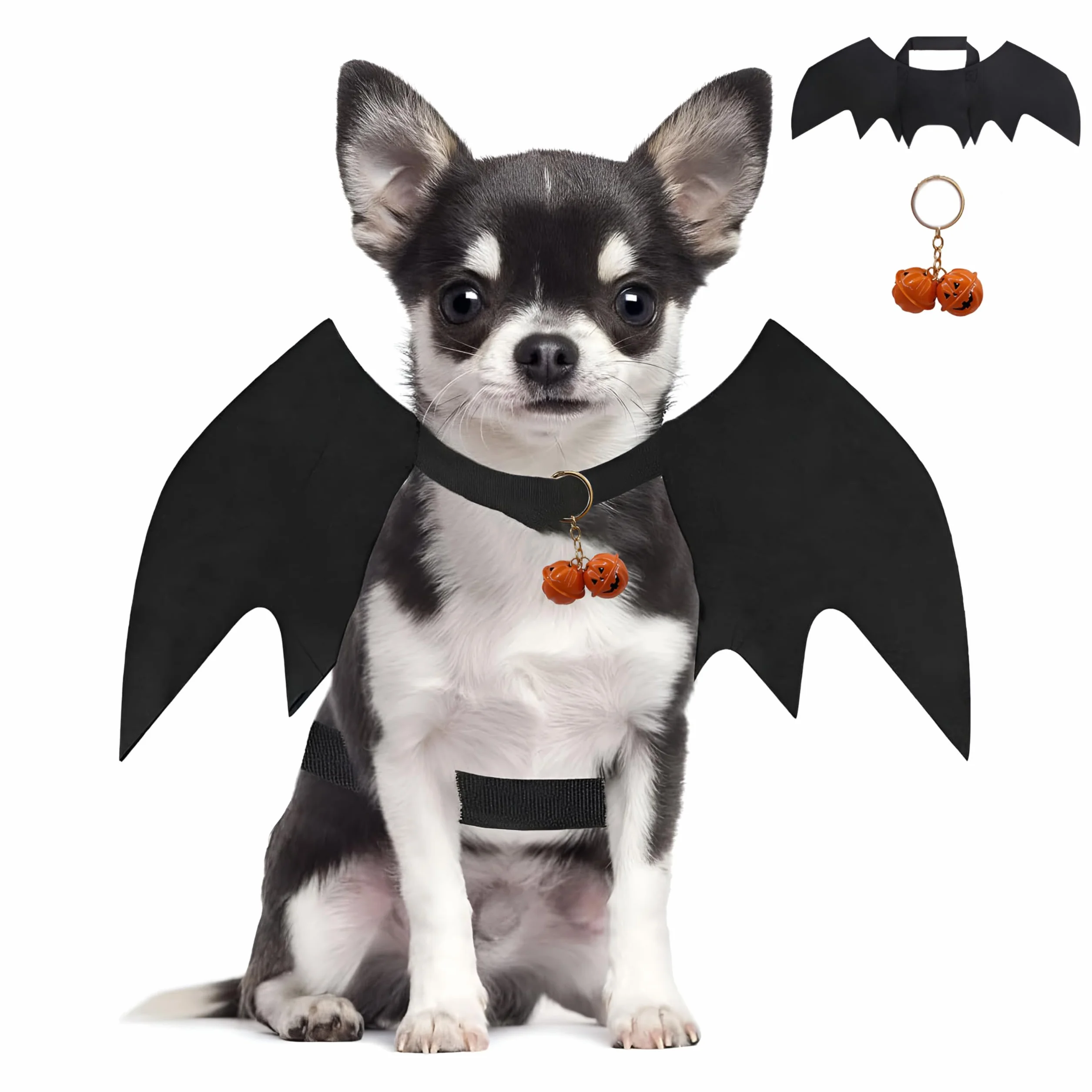 Kostium Psa na Halloween - Skrzydła Nietoperza dla Małego Psa (Czarny)