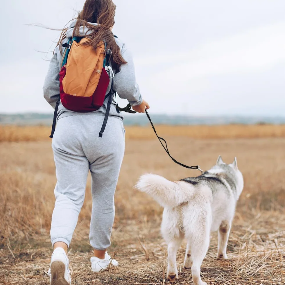 Smycz dla psa bez użycia rąk, regulowany pas biodrowy z woreczkiem i paskiem odblaskowym, uprząż do biegania dla średnich i dużych psów, spacerów i joggingu (czarna)
