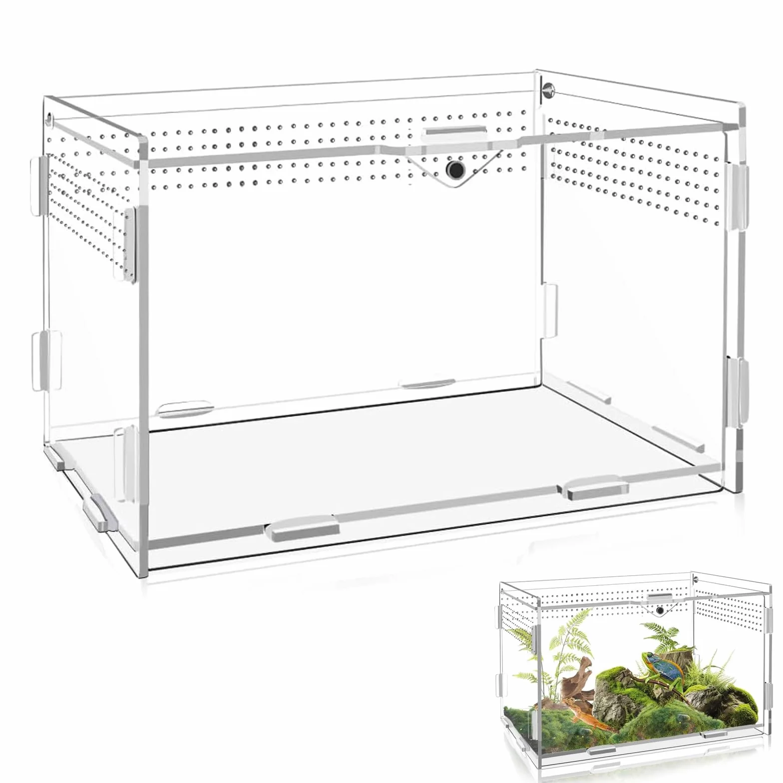 Przezroczyste akrylowe terrarium dla gadów i owadów – obudowa dla pająków, jaszczurek, żab, chrząszczy i innych owadów