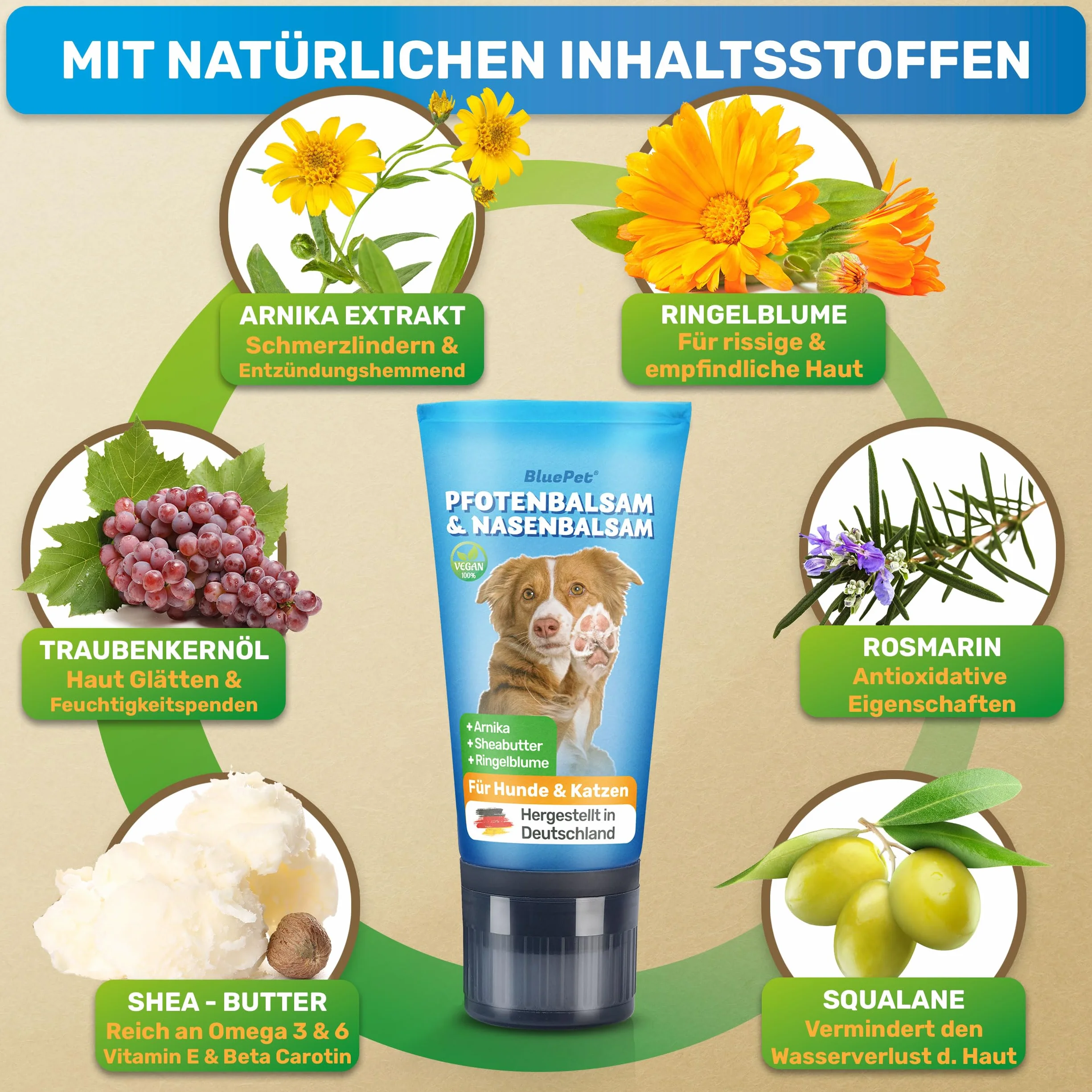 BluePet Balsam do łap psa 50 ml – pielęgnacja łap psa przeciwko suchym i popękanym łapom i nosowi – naturalna ochrona i balsam pielęgnacyjny dla psów