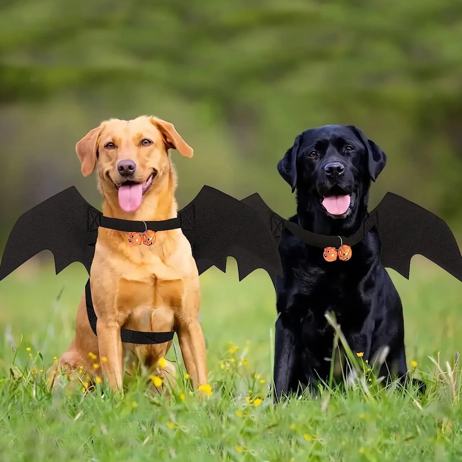 Kostium Psa na Halloween - Skrzydła Nietoperza dla Małego Psa (Czarny)
