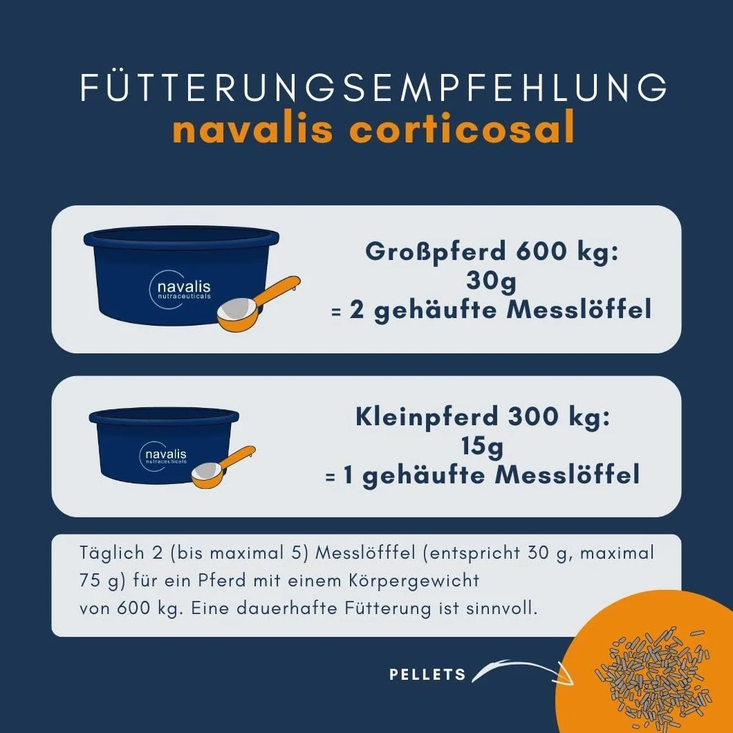 Corticosal Horse Refill worek 2000 g