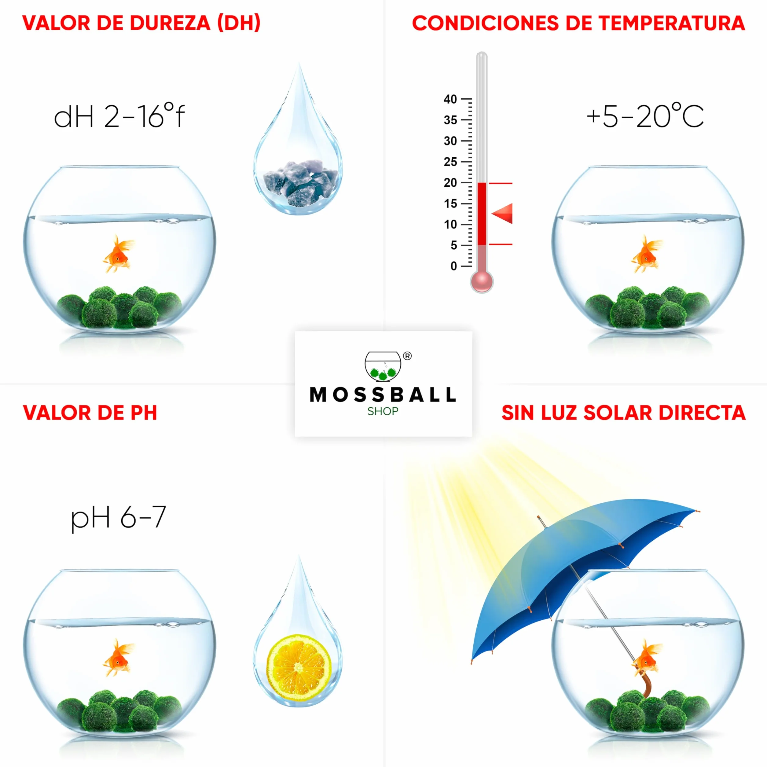 20 + 1 szt. kule mchu akwarium Cladophora aegagropila linneiae mech rośliny akwariowe rośliny wodne dekoracja rośliny prawdziwe marimo piłki mchu akwarium marimo moosball (1-3 cm)
