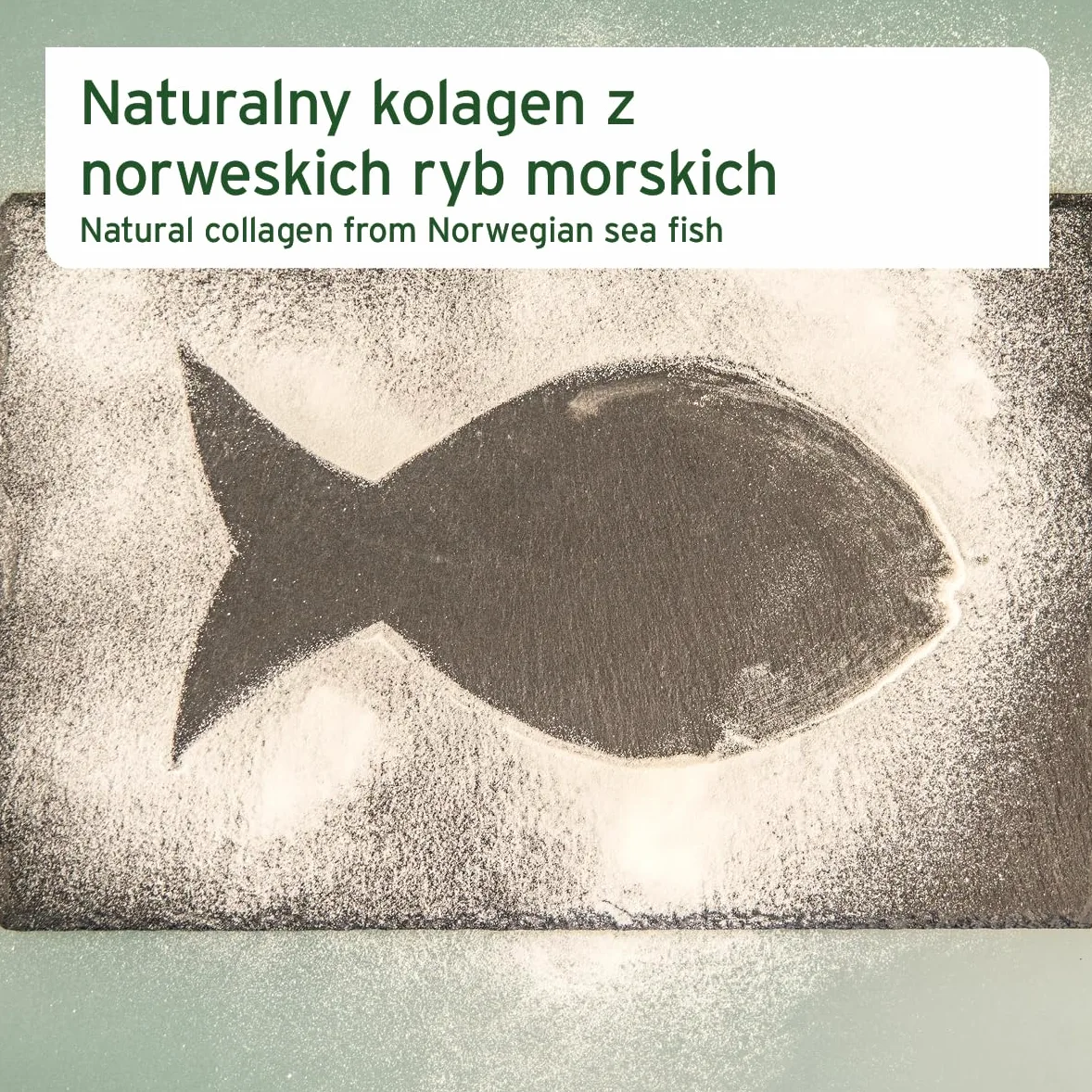 AniForte Marine Kolagen proszek dla psów CollaMove 450 g - Kolagen rybny wspomaga stawy, ścięgna i więzadła – naturalny produkt dla sprawności stawów i zwinności