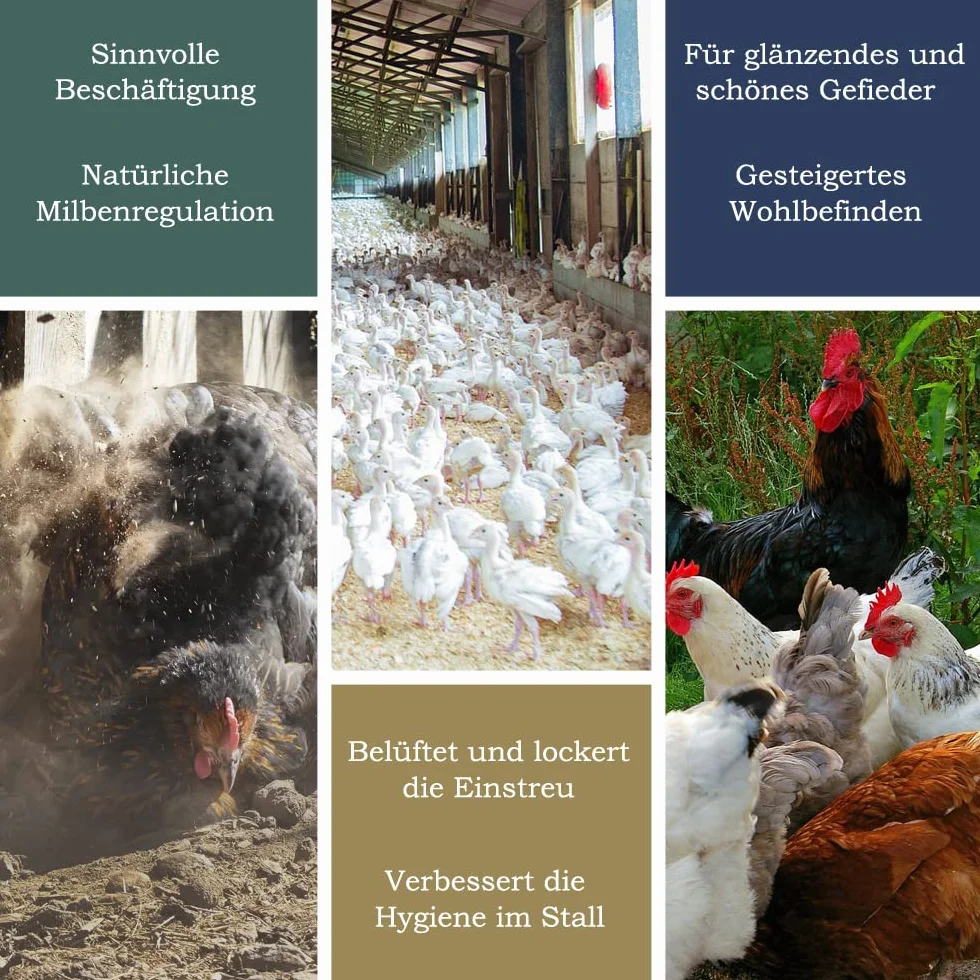 Petigi Mąka z kamienia pierwotnego, ściółka dla drobiu, do kąpieli piaskowej, mąka kamienna dla kur i przepiórek, piasek do kąpieli w proszku do kurników i wybiegów dla kur