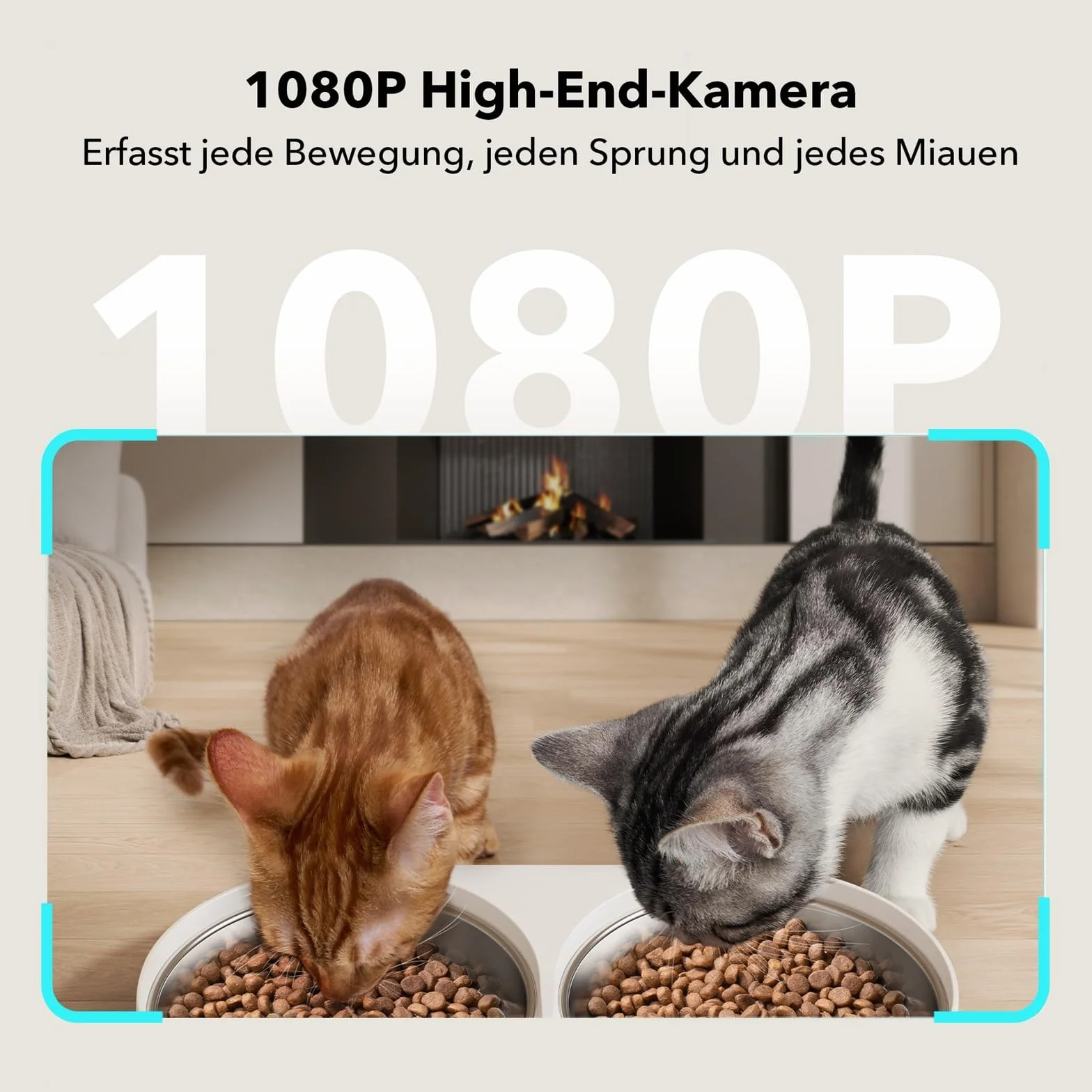 PETLIBRO 5G & 2.4G WiFi automatyczny dozownik karmy dla kotów z kamerą, 5 l 1080P HD automatyczny dozownik karmy dla psów z 2 miskami ze stali nierdzewnej, 1-10 past/dzień, sterowanie aplikacją, USB i