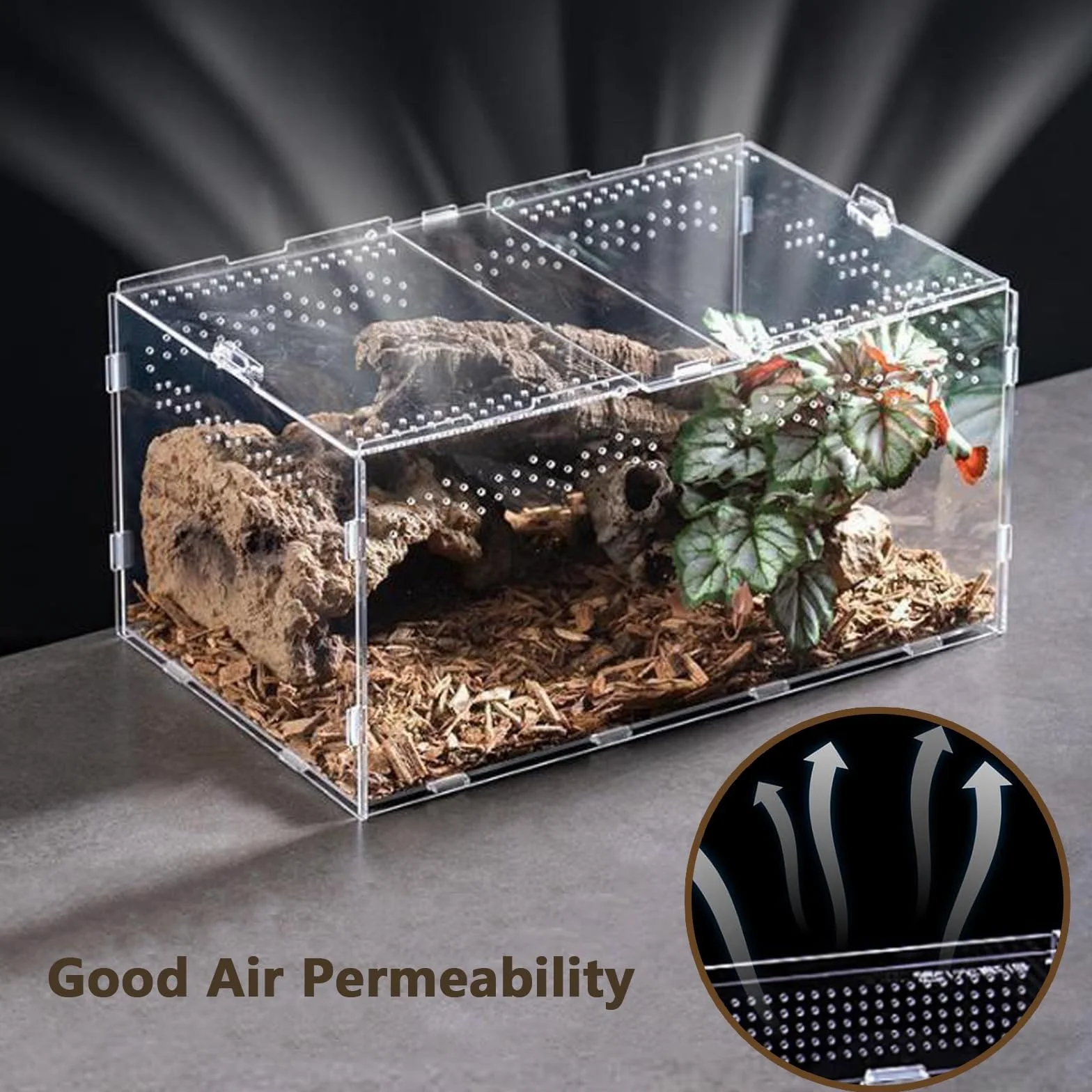 Przezroczyste akrylowe terrarium dla gadów i owadów – obudowa dla pająków, jaszczurek, żab, chrząszczy i innych owadów