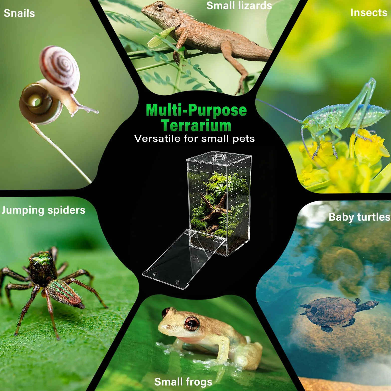 Homtone Akrylowe terrarium, terrarium owadów, terrarium ślimakowe z drzwiami magnetycznymi i otworem na karmę, odpowiednie dla pająków, ślimaków i owadów (10 x 10 x 20 cm)