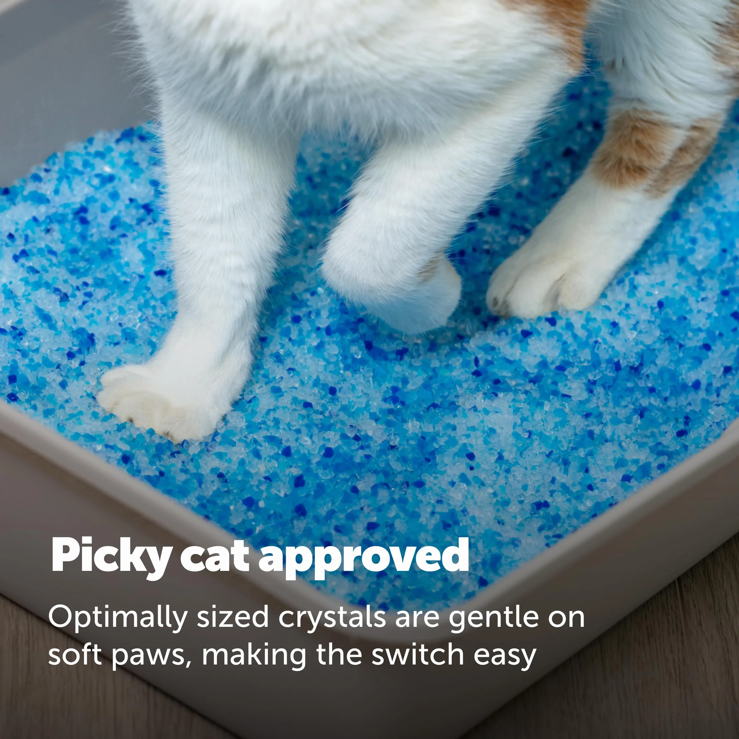 PetSafe ScoopFree Premium Nieklejący Kryształowy Żwirek dla Kotów - Kontrola Zapachu, Niskie Rozprzestrzenianie, Bezpyłowy - Premium Niebieski, 2-Pak