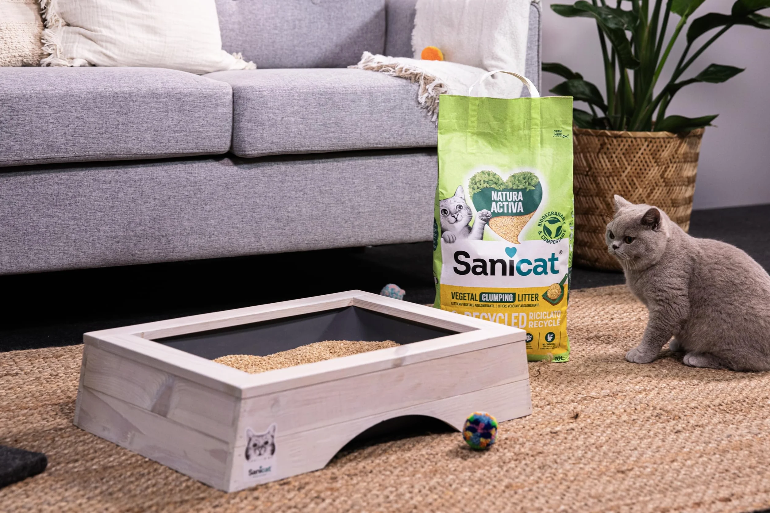Sanicat – Zbrylający żwirek dla kotów z przetworzonych kolb kukurydzy | Doskonałe wchłanianie i redukcja nieprzyjemnych zapachów | Produkt przyjazny dla środowiska i biodegradowalny | Pojemność 6 l