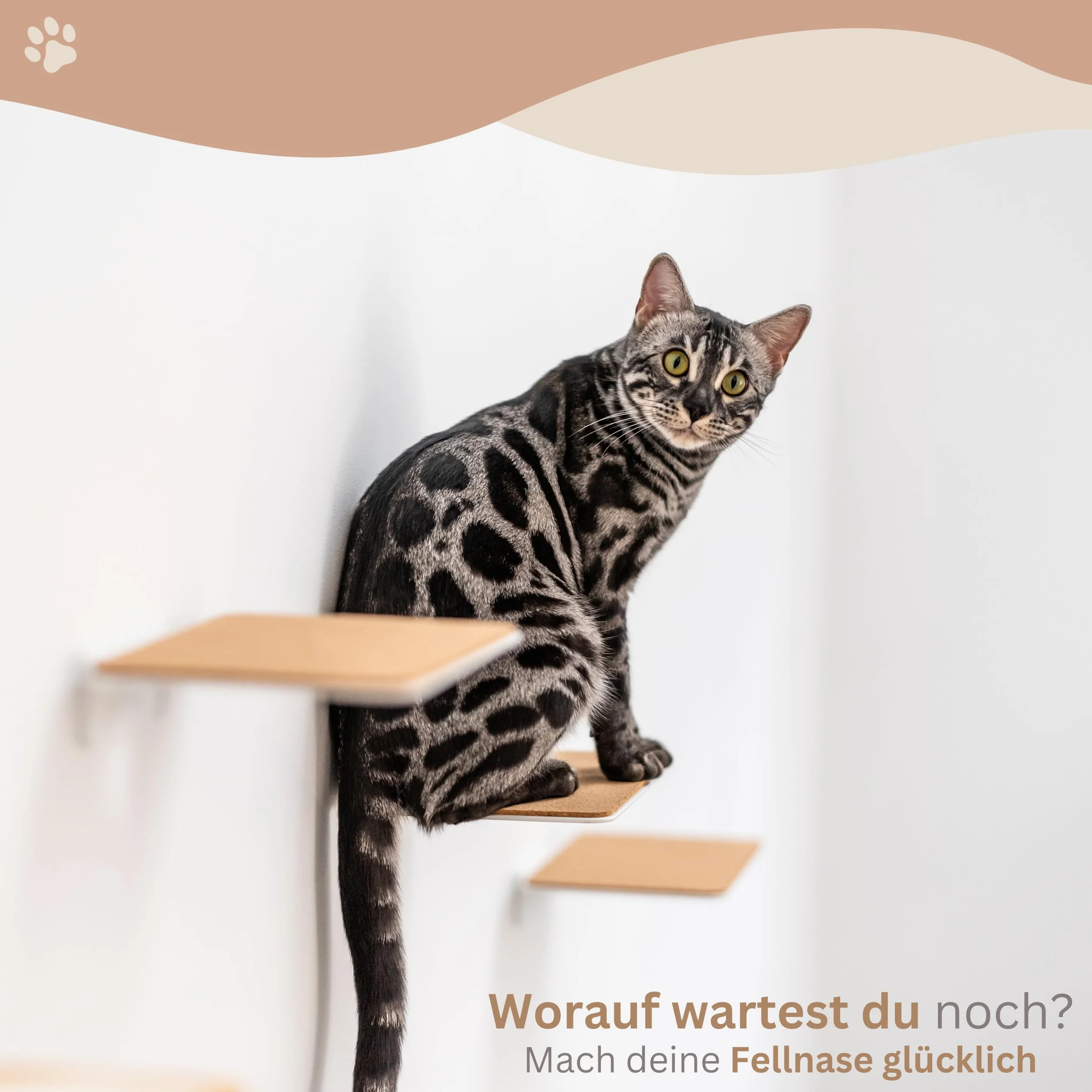 AZANO® Schody dla Kotów, zestaw 3 dużych, nowoczesne wzornictwo z metalu, ścianka do wspinaczki, drabinka, ściana | drabinka (białe)