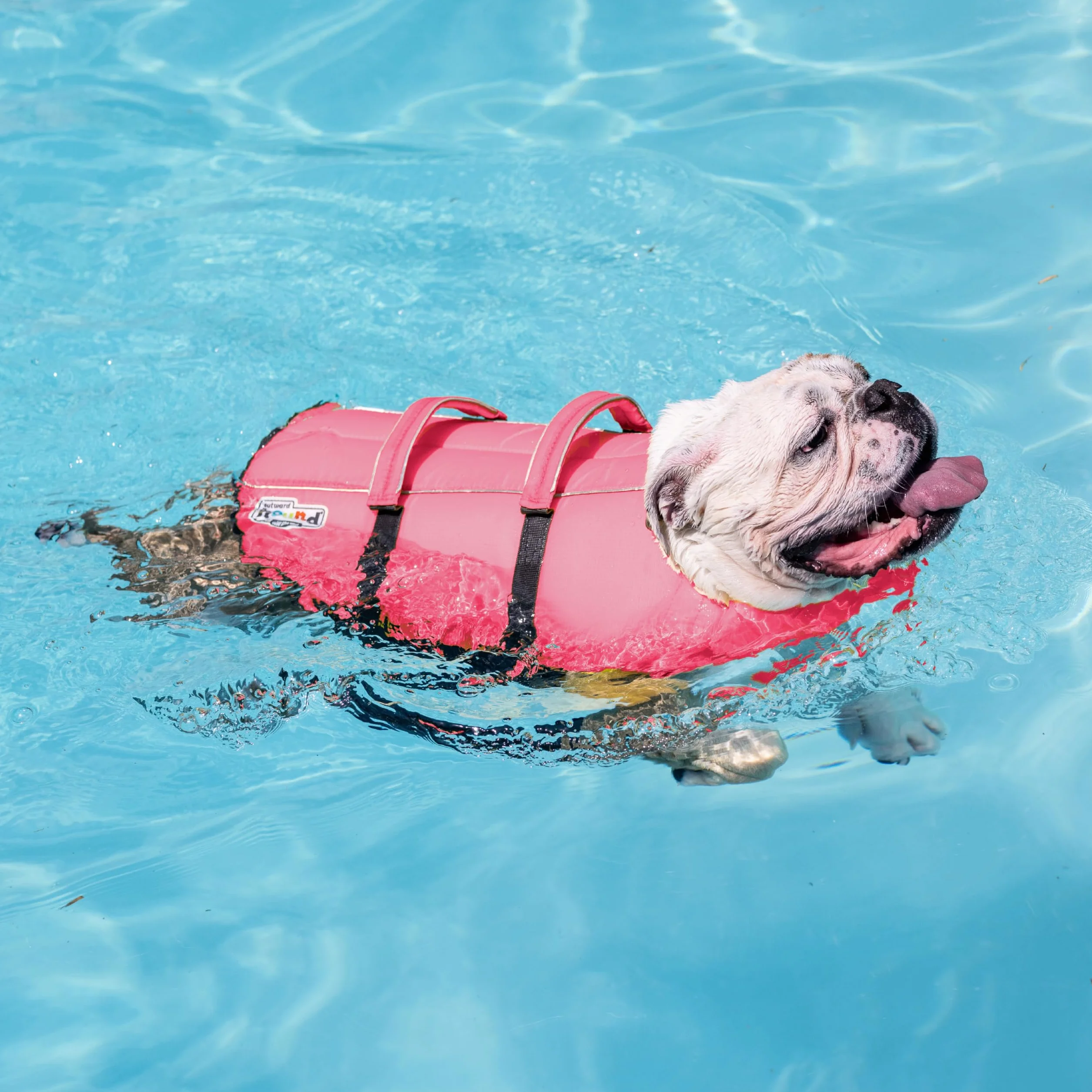 Outward Hound Granby Splash różowa kamizelka ratunkowa dla psa, M