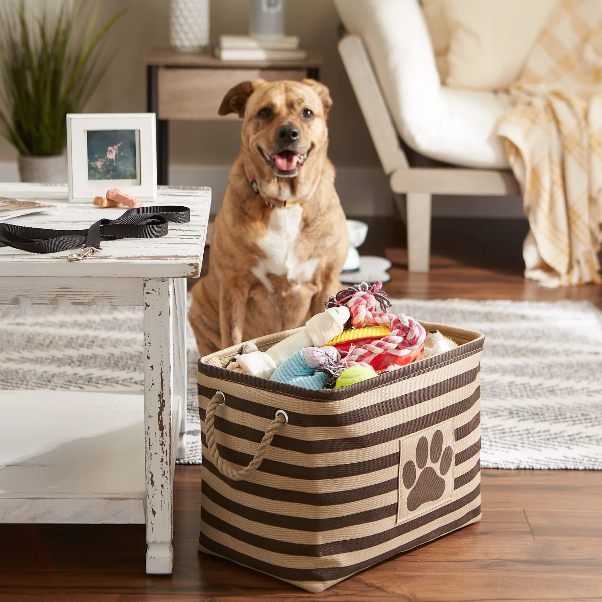 Dog Toy Storage Basket for Pets