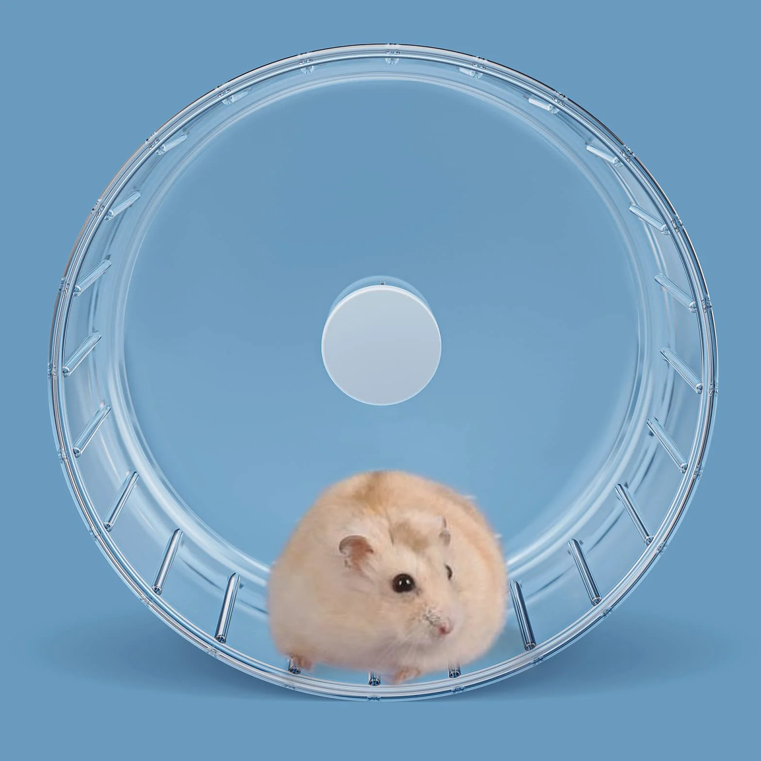 Bucatstate Koło dla chomika, 15 cm, cichy chomik, zabawka, przezroczysty, do wiewiórki Totoro Mouse, szynszyli, małych zwierząt domowych