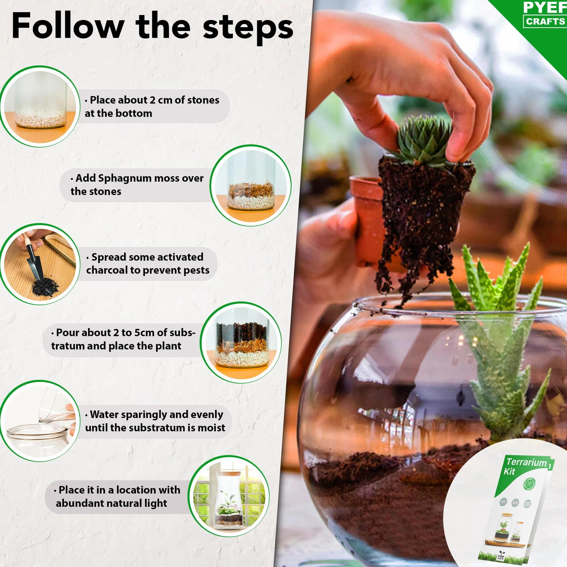 Zestaw do terrarium DIY dla roślin, zestaw startowy do ogrodu w butelce, samowystarczalny ekosystem - materiały dla sukulentów, roślin powietrznych, paproci - zestaw bez słoika (M), bez