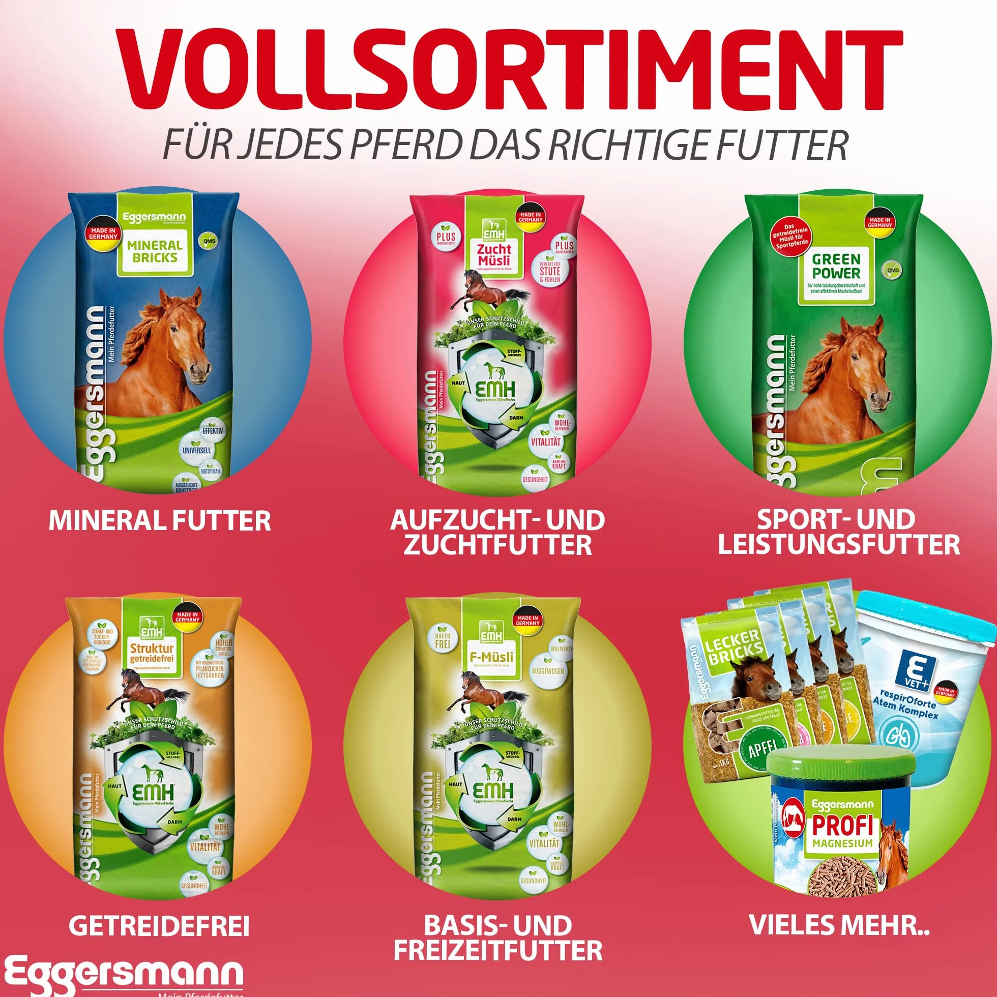 Eggersmann Profi Biotin Plus koncentrat dla koni, dodatkowa karma dla zdrowych kopyt i sierści, 1 opakowanie (1 x 1 kg)