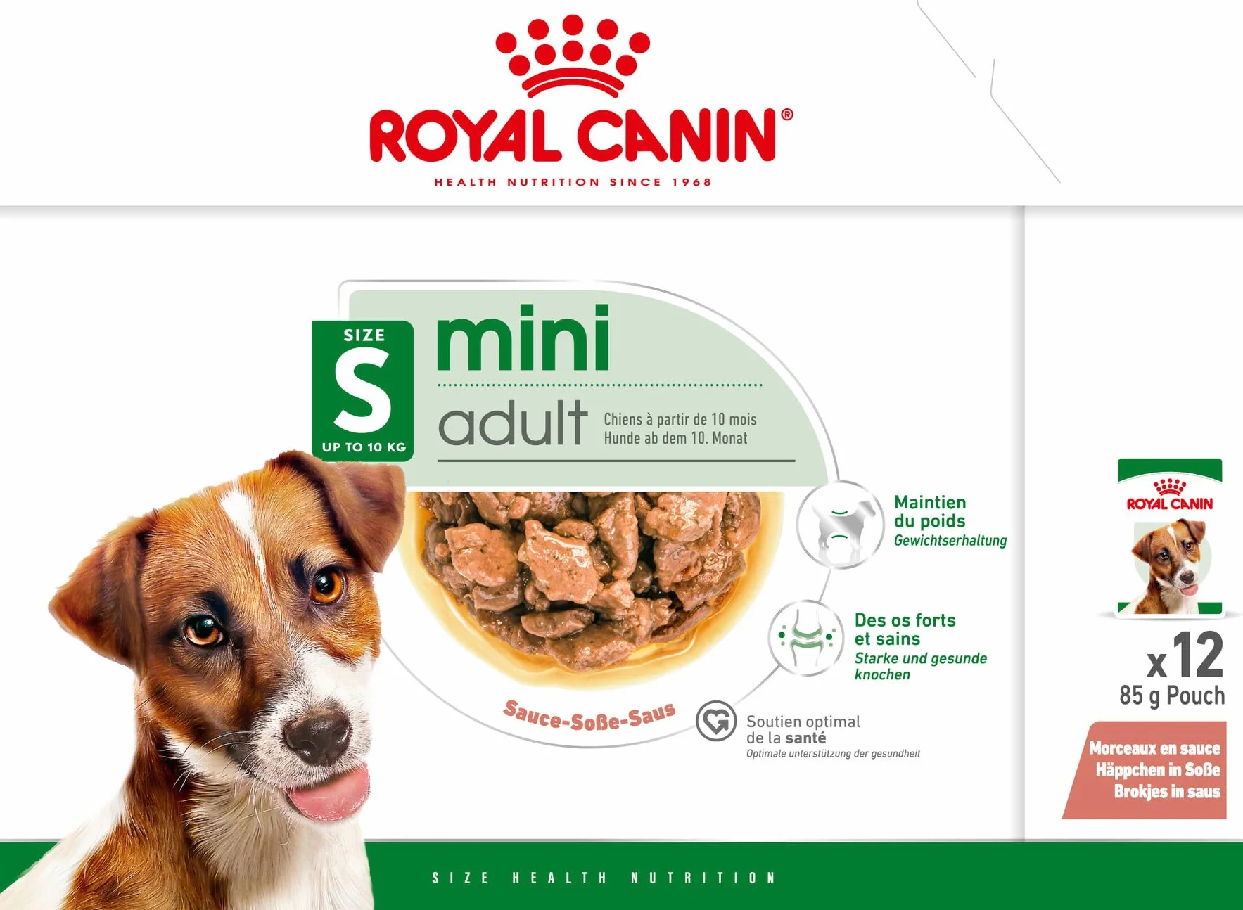 Royal Canin Mini Adult in Sauce | Podwójne opakowanie | 2 x 12 x 85 g | Mokra karma dla małych, dorosłych psów (od 1 do 10 kg) | Od 10 miesięcy do 12 lat | Dostosowana zawartość energii