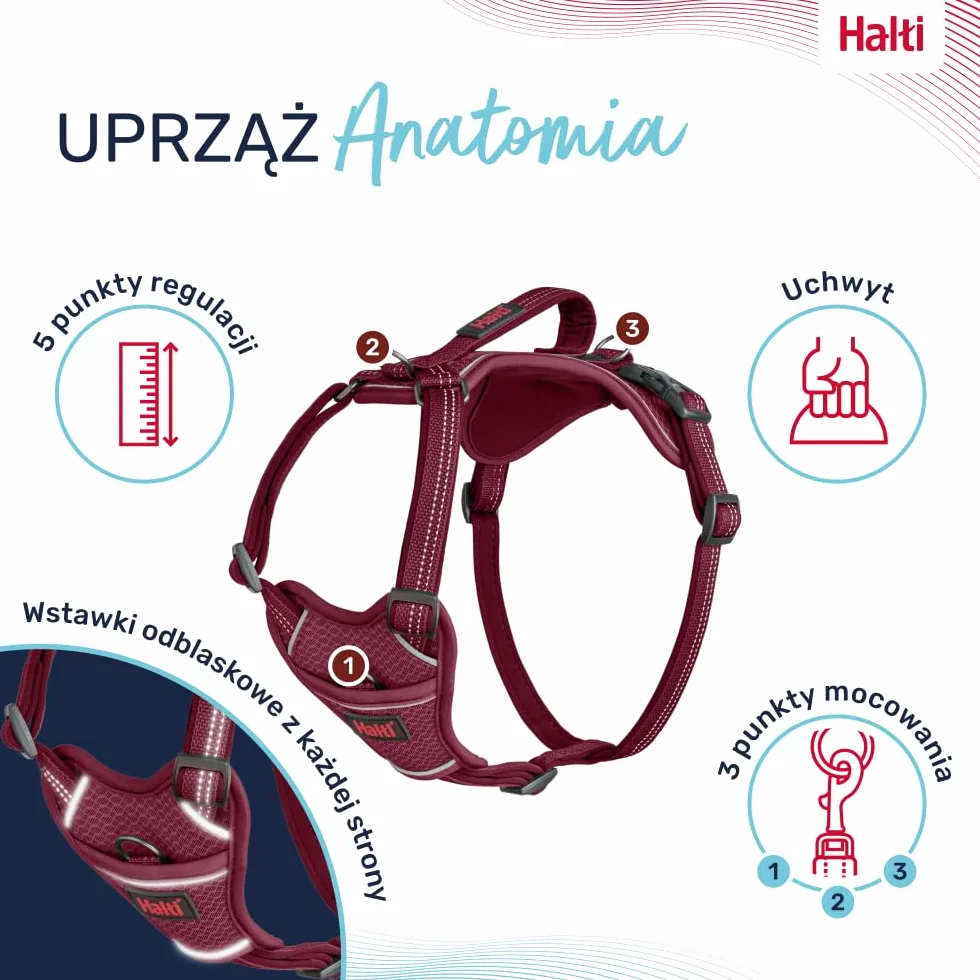 Uprząż dla psa HALTI Anatomy z uchwytem - Zapewnia psu swobodę ruchów i wygodę podczas spacerów. 3 punkty mocowania smyczy, neoprenowa wyściółka, regulowana i odblaskowa (Rozmiar M, Magenta)
