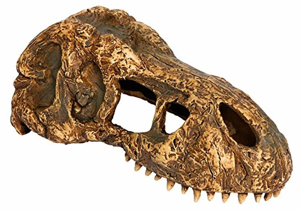 Exo Terra T-Rex czaszka, mała
