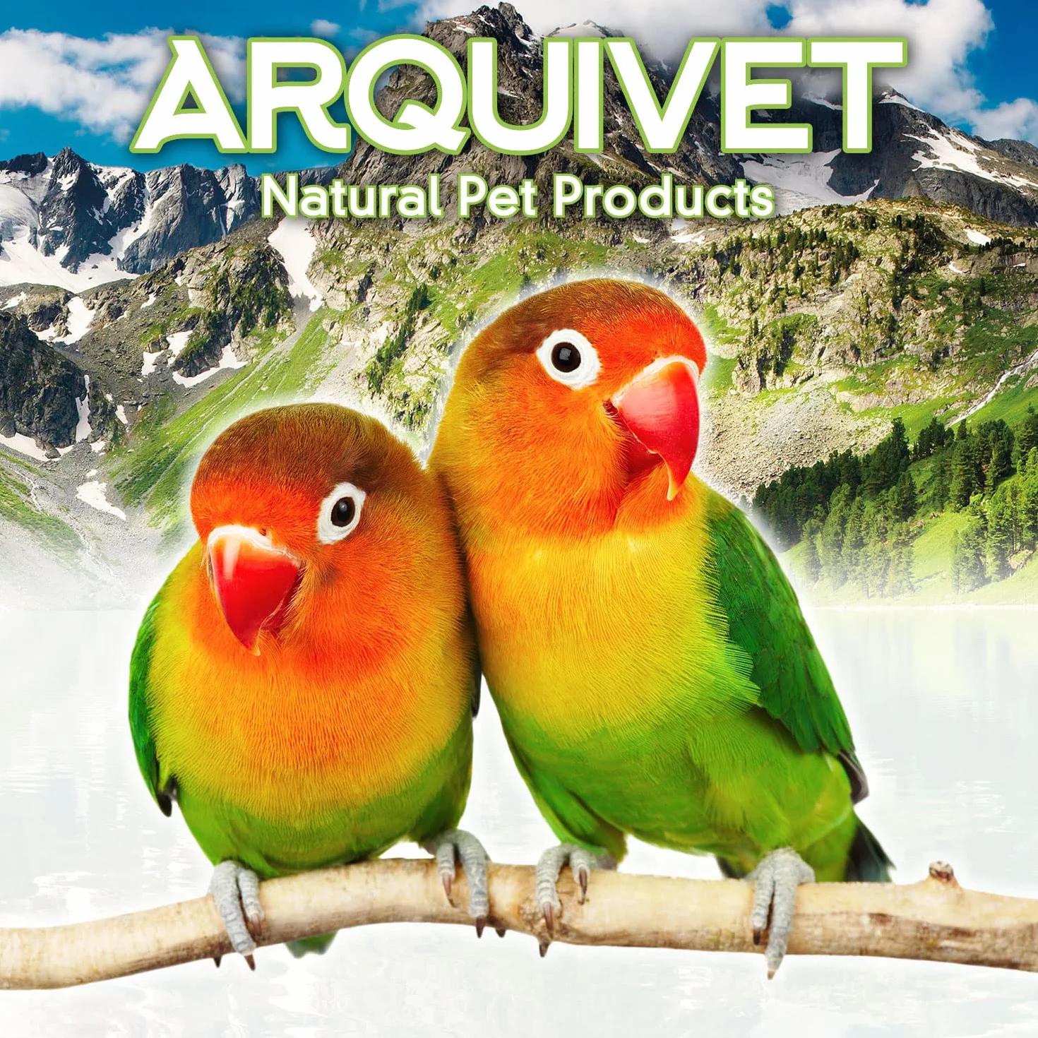 Arquivet Limonka dla papug 20 gr - Blok mineralny z YODO dla ptaków - Suplement diety dla wszystkich ptaków domowych - Akcesoria dla ptaków - Kamień dla ptaków