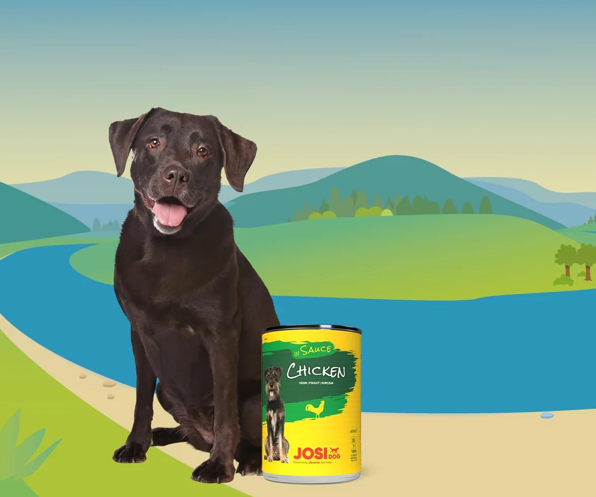 JosiDog Kurczak w sosie (12 x 415 g) | Dorosły | Premium mokra karma dla dorosłych psów | z kurczakiem w sosie z witaminą D3 i E | Powered by Josera | mokra karma dla psów | Kompletna karma |