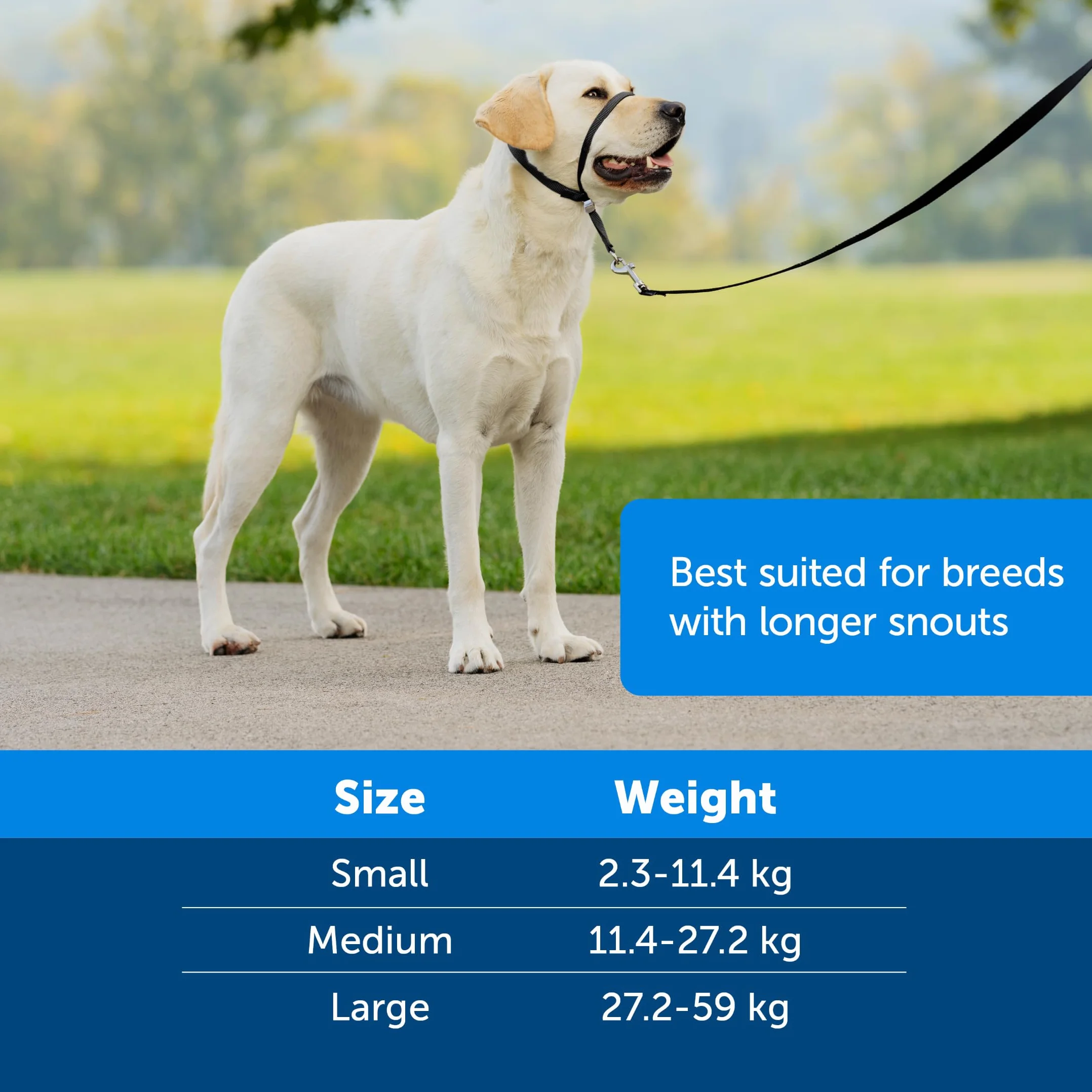 PetSafe Obroża Easy Walk