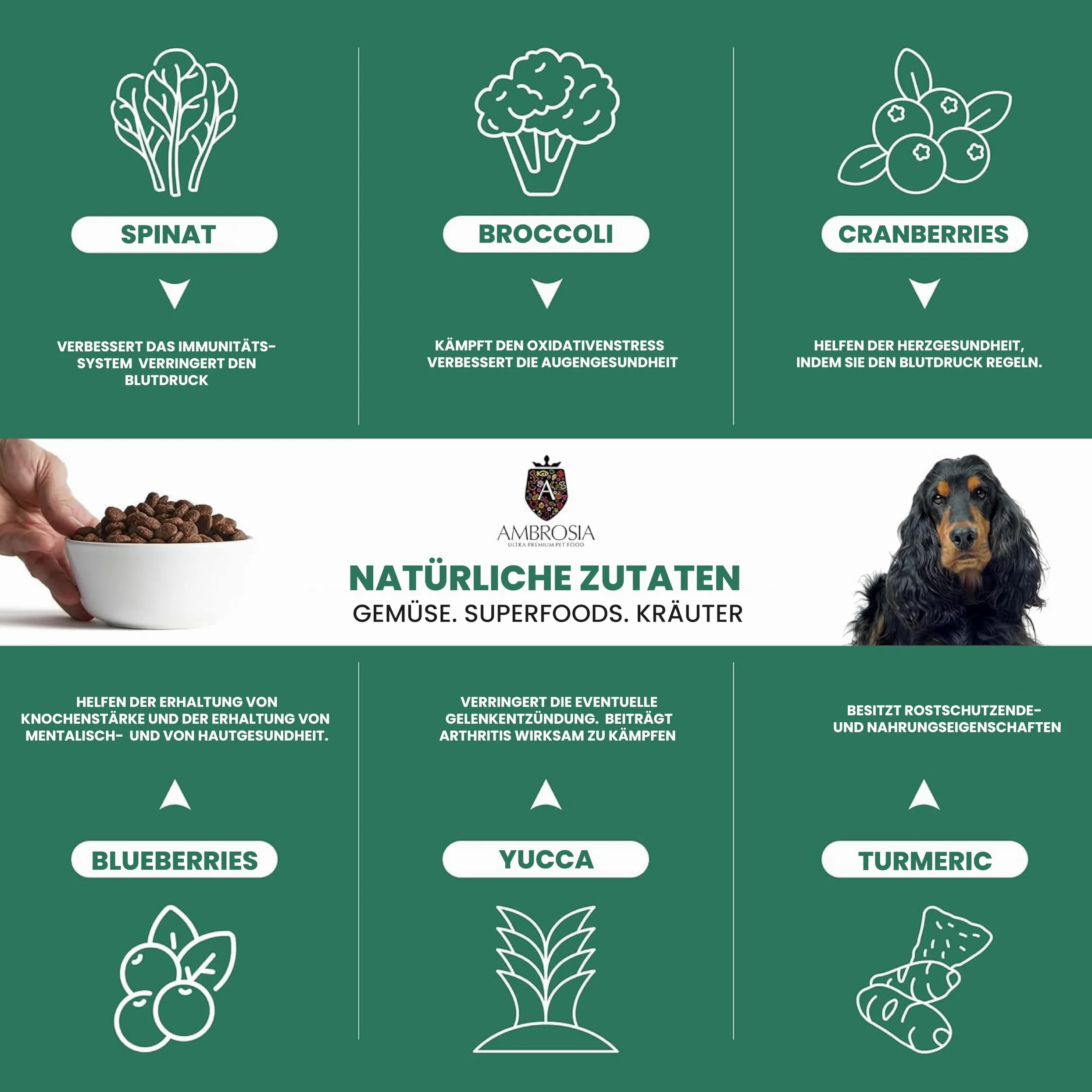 Ambrosia Ultra Premium Pet Food - Świeży indyk i łosoś – kontrola wagi – całościowo hipoalergiczna, nie zawiera zbóż, dla starszych i sterylizowana karma dla psów (12 kg)