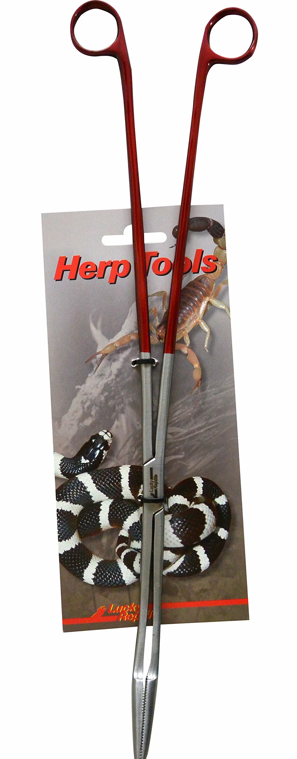 Lucky Reptile ZA-40 szczypce do karmy 40 cm zakrzywione