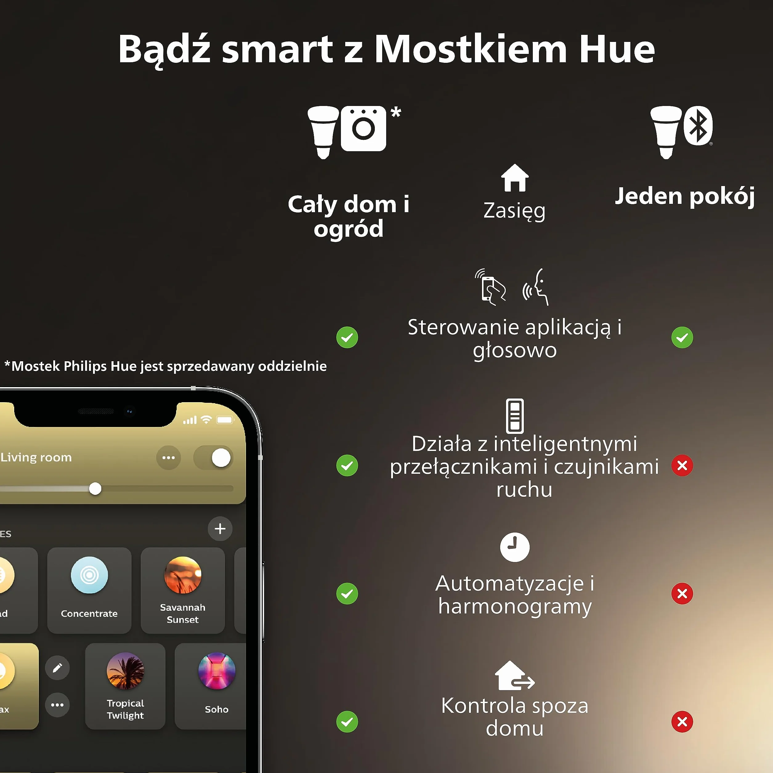 Philips Hue Outdoor Niskonapięciowy zasilacz zewnętrzny [do 100 W], do inteligentnego oświetlenia zewnętrznego Philips Hue, czarny