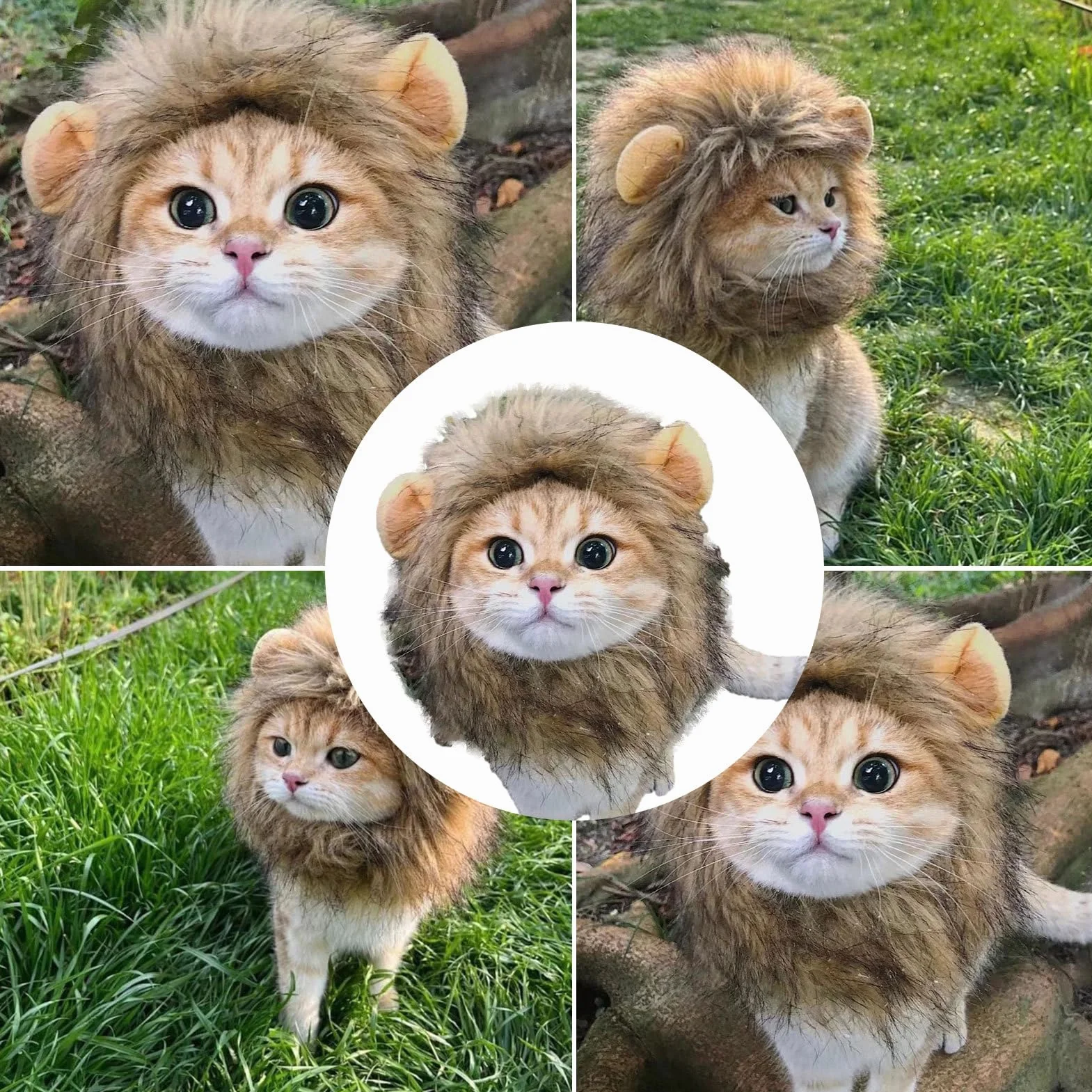 Maciun Lew Grzywa , Lew Grzywa dla kota - Lew W?osy Zwierz? Kot Kostium Kot Cosplay Odzie? - G?adkie w?osy lwa, zabawny kostium kotka, zmywalny fantazyjny kostium, kapelusz