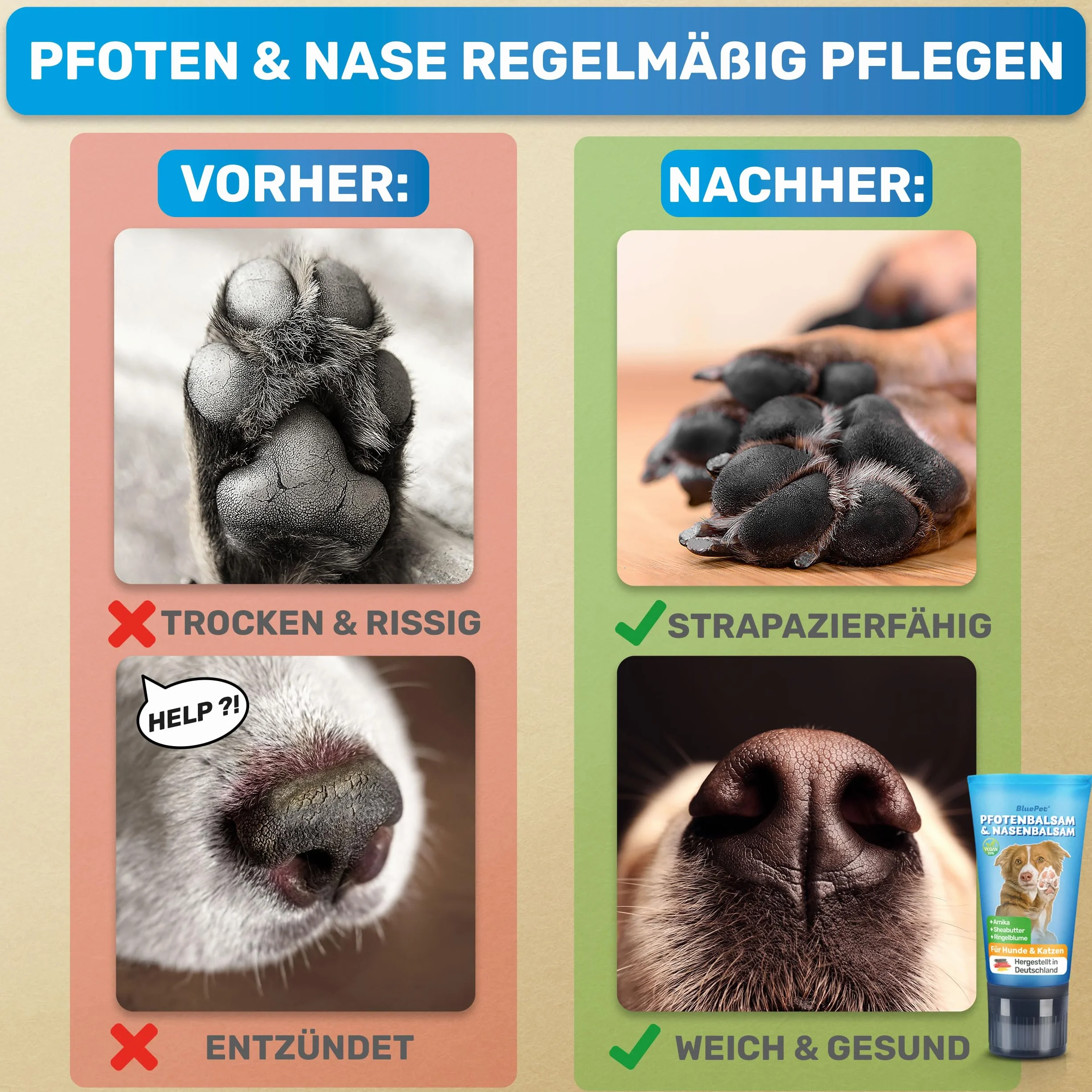 BluePet Balsam do łap psa 50 ml – pielęgnacja łap psa przeciwko suchym i popękanym łapom i nosowi – naturalna ochrona i balsam pielęgnacyjny dla psów