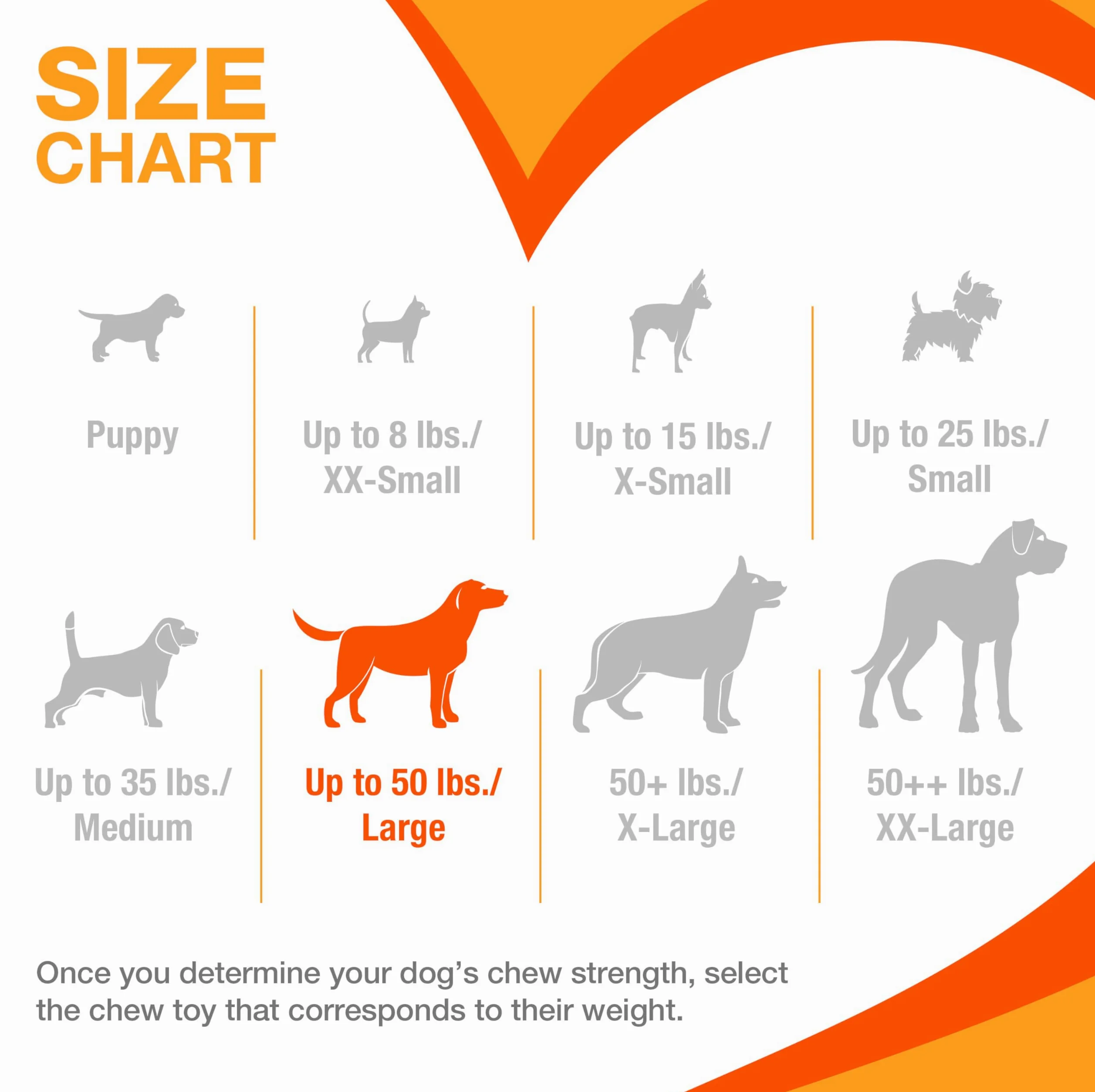 Nylabone 2 x Dura Chew ekstremalnie wytrzymałe kości do żucia dla psa, 1 boczek i 1 kurczak, duża, dla psów do 23 kg