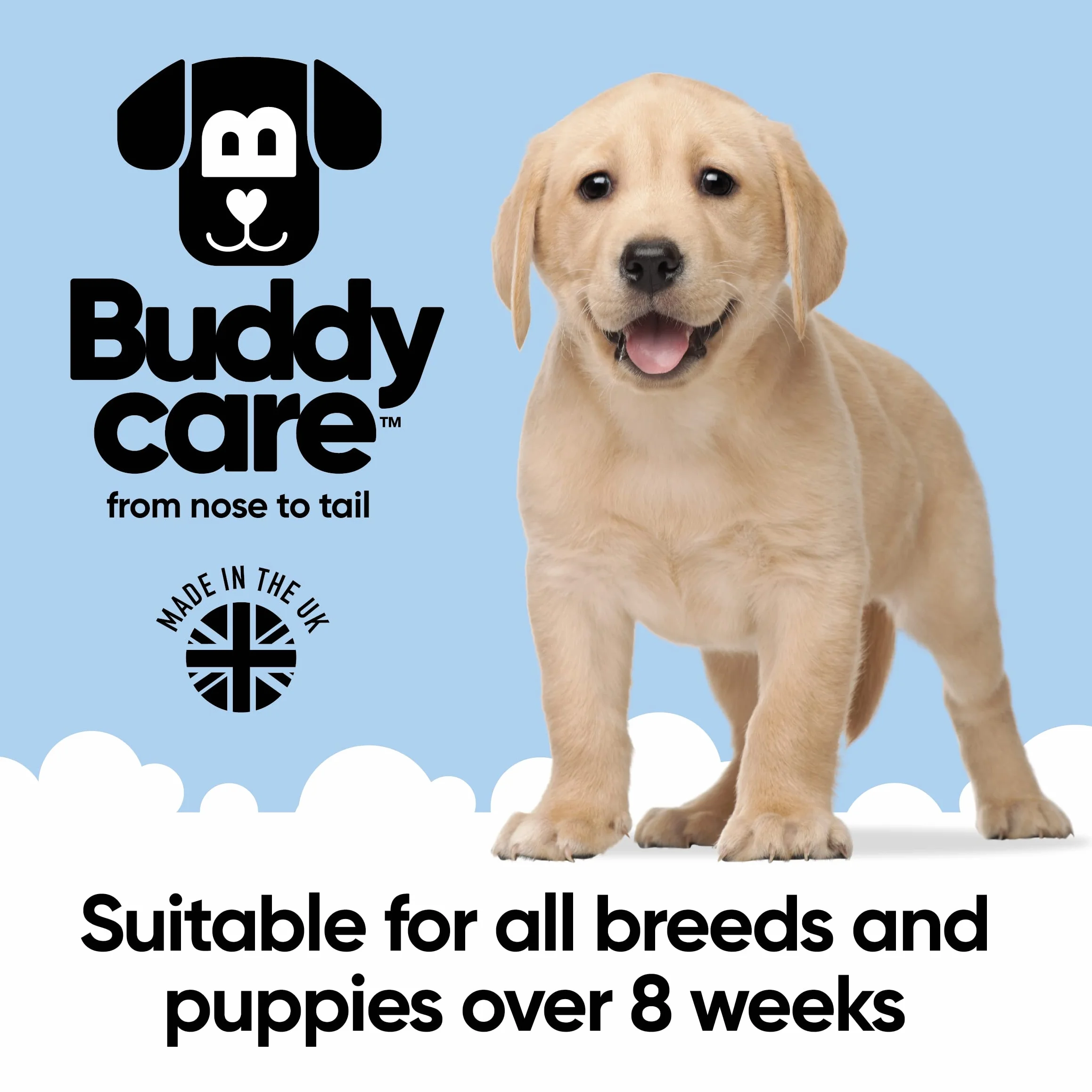 Buddycare Shed Control szampon dla psów, 500 ml, o zapachu aloesu i trawy cytrynowej, z aloesem i pro witaminą B5, szampon dla szczeniąt, delikatna formuła dla wszystkich ras, wegańska i wolna od