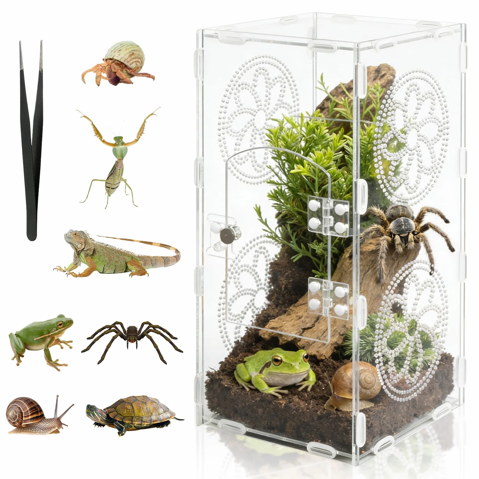 Akrylowe terrarium dla gadów, 30 x 15 x 14cm, 360° przezroczyste pudełko dla fauny, zawiera pęsetę, oddychające pudełko do hodowli gadów, pudełko do karmienia gadów dla pająków skaczących