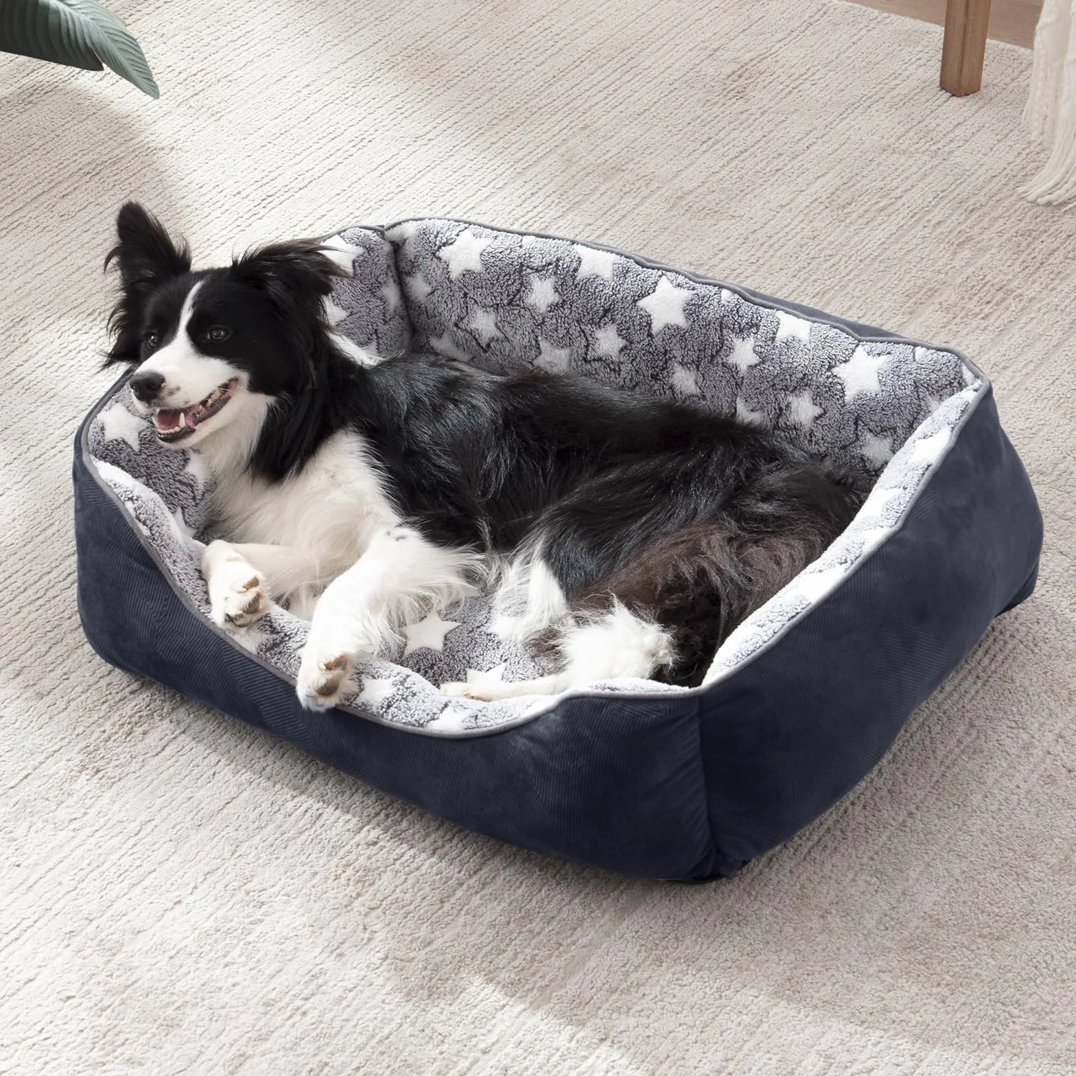 FURTIME Legowisko dla Psa, Kosz Nadający Się do Prania, Antypoślizgowe, Puszysty Materac z Podwyższonymi Krawędziami, Miękka Sofa dla Kota XL (89 x 63 x 23)