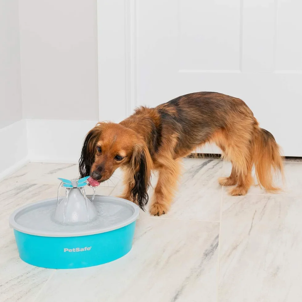 PetSafe Drinkwell Butterfly fontanna do picia dla kotów i małych psów, tworzywo sztuczne bez BPA, pojemność 1,5 l, niebieska